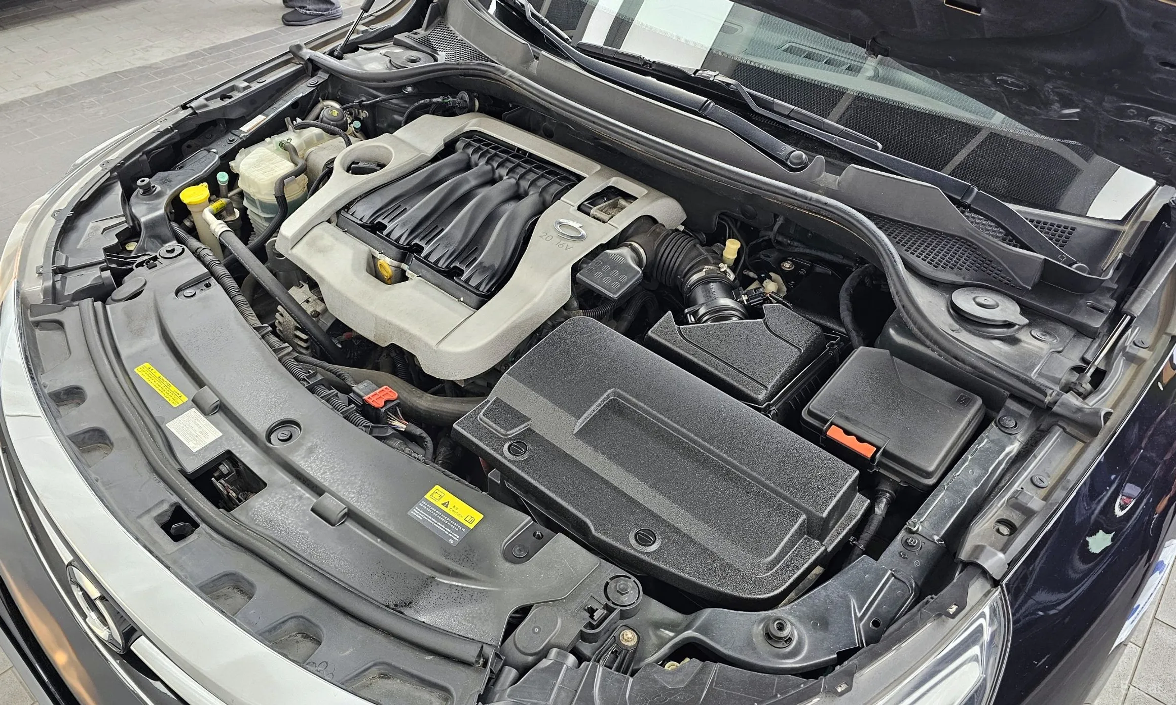 Renault Korea (Samsung) SM5 превью 6