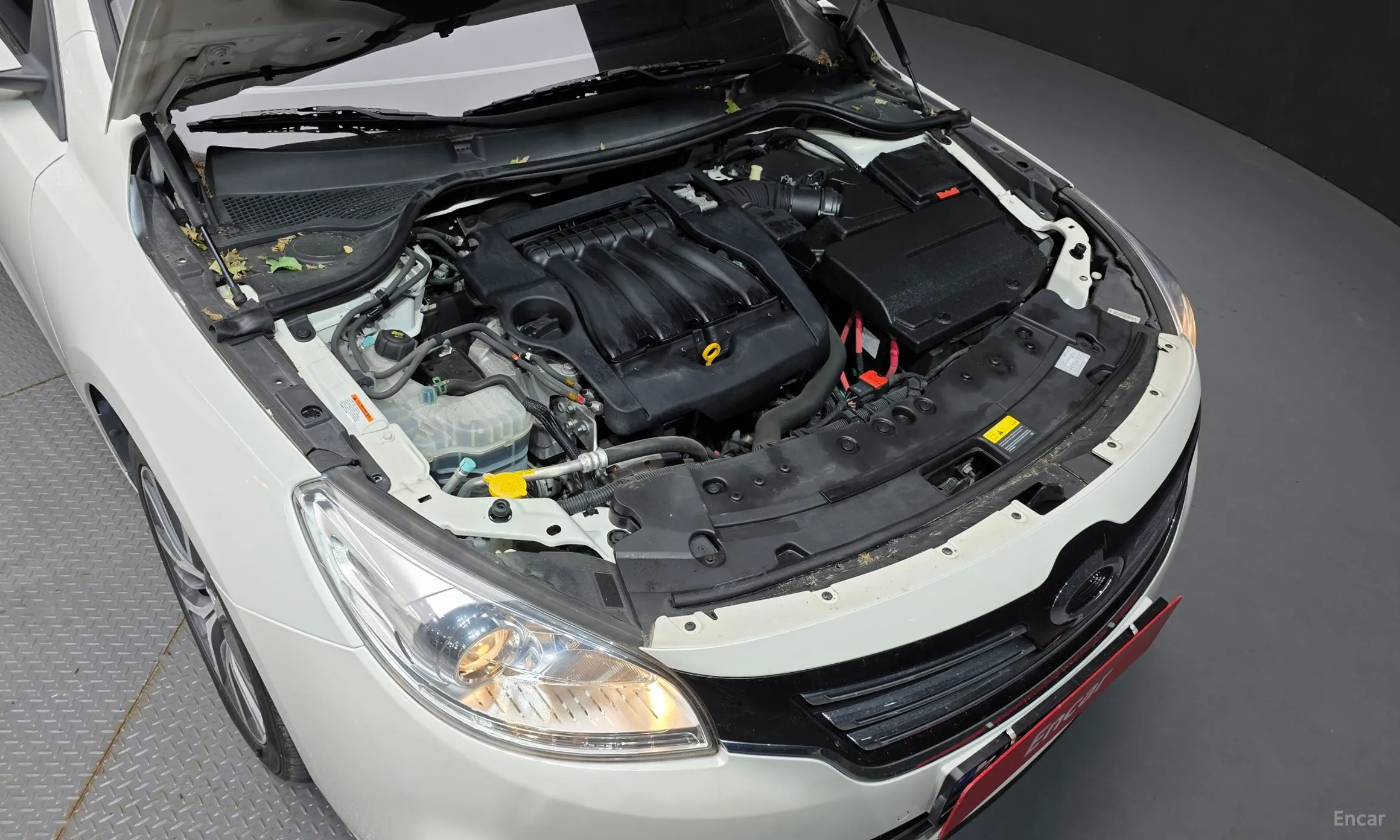 Renault Korea (Samsung) SM7 превью 6