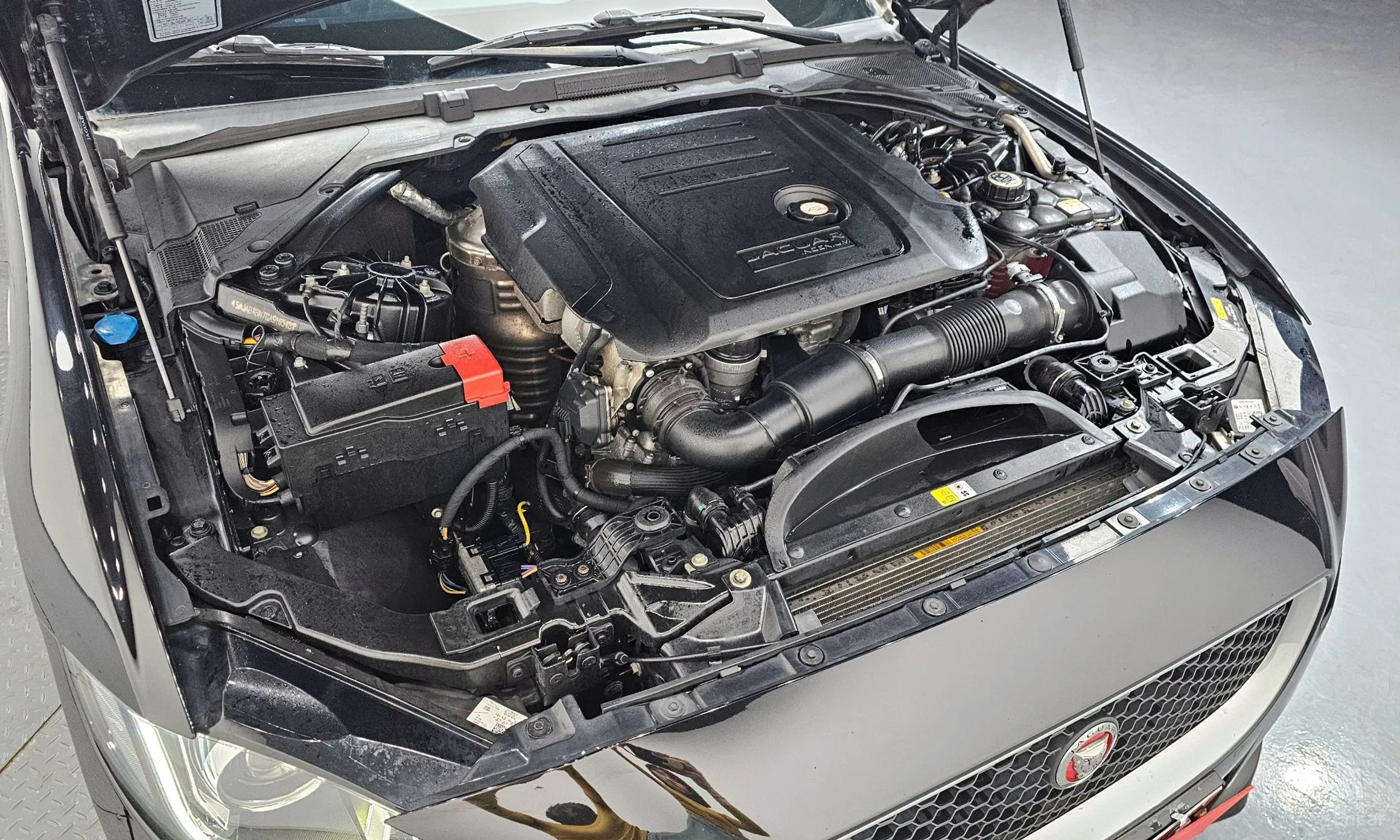 Jaguar XE превью 6