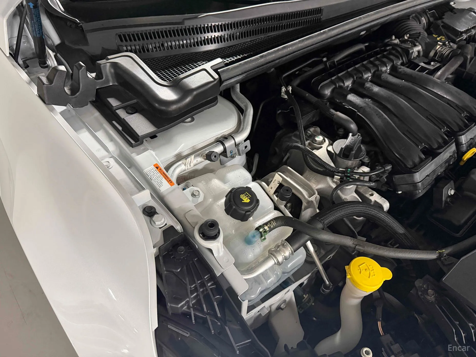 Renault Korea (Samsung) SM6 превью 13