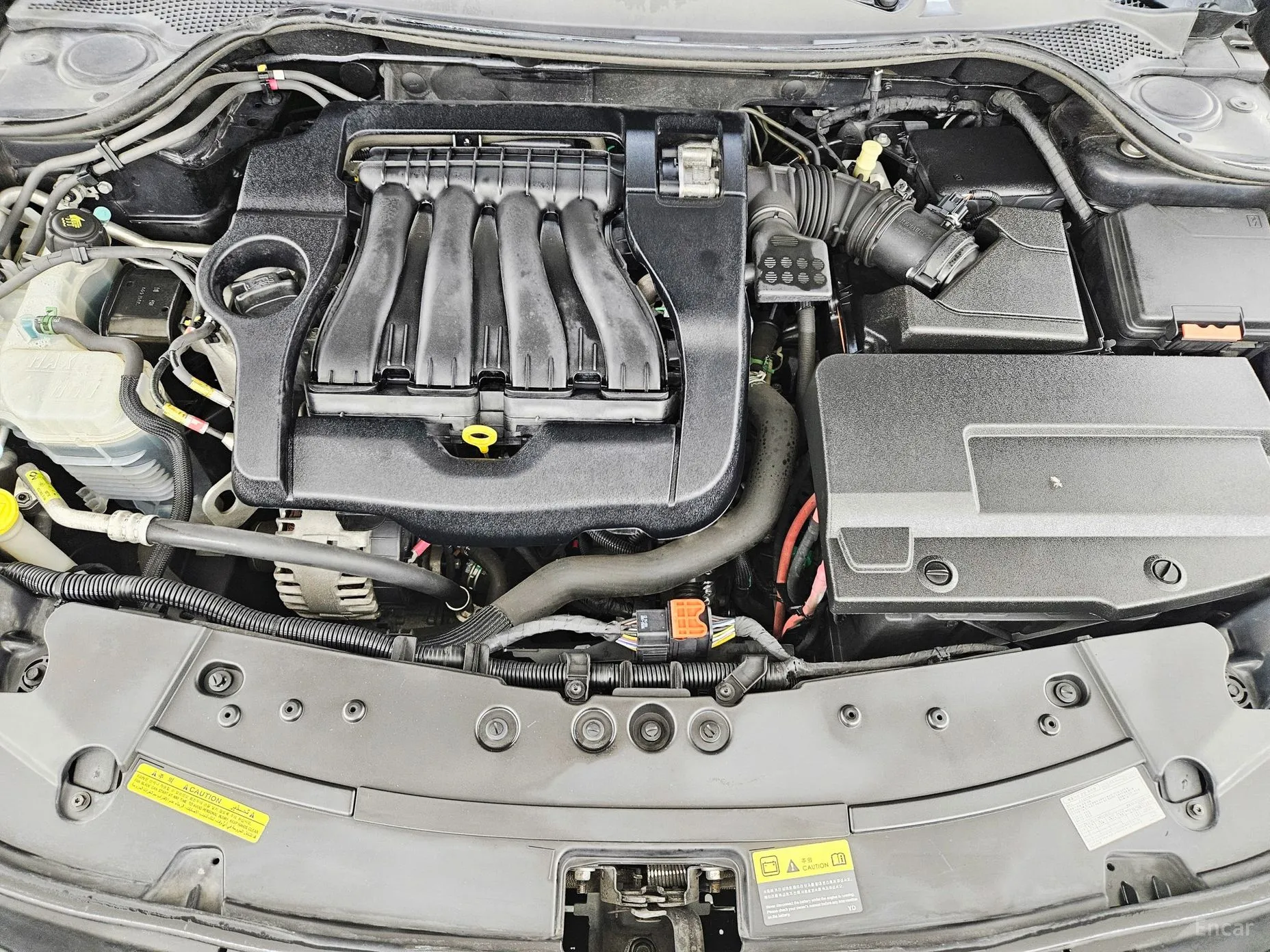 Renault Korea (Samsung) SM7 превью 6
