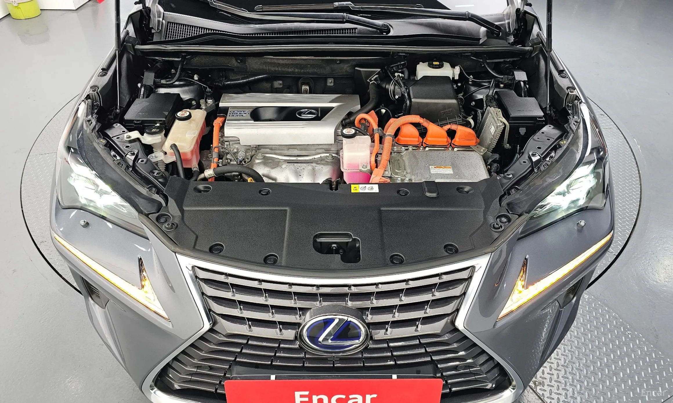 Lexus NX300h превью 6