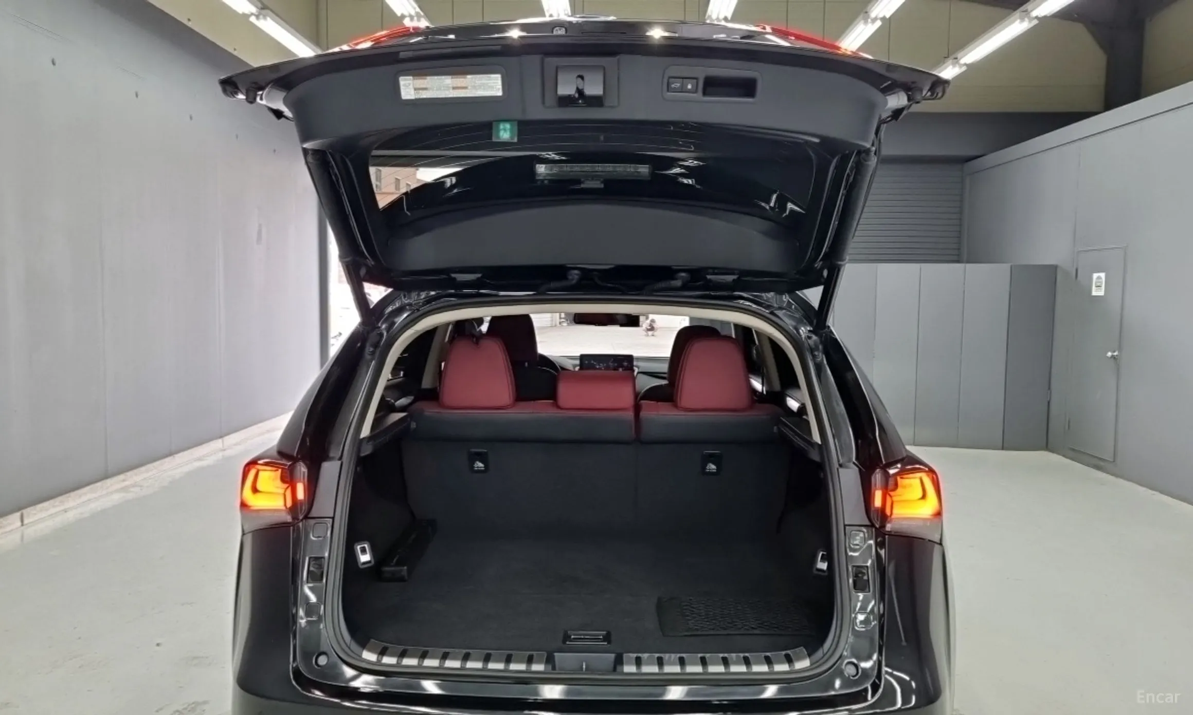 Lexus NX300h превью 18