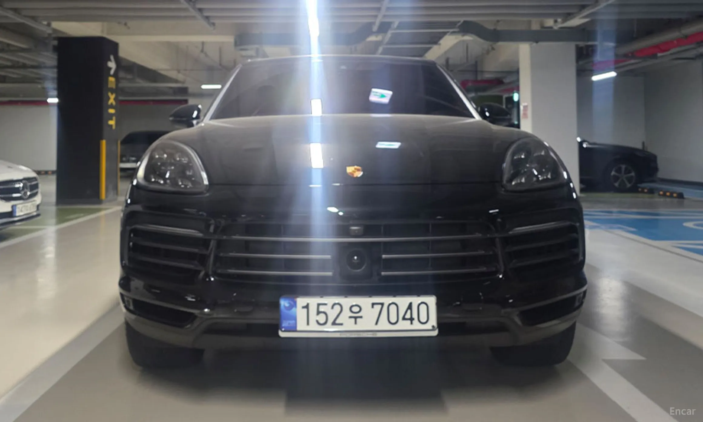 Cayenne (PO536)
