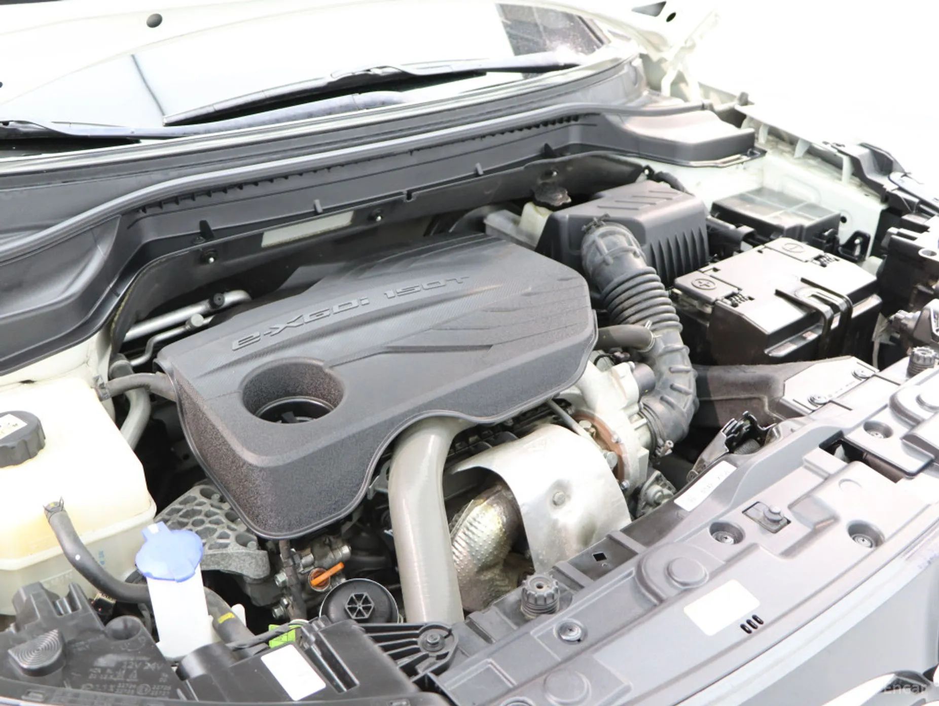 KG Mobility (SsangYong) Berry New Tivoli превью 8
