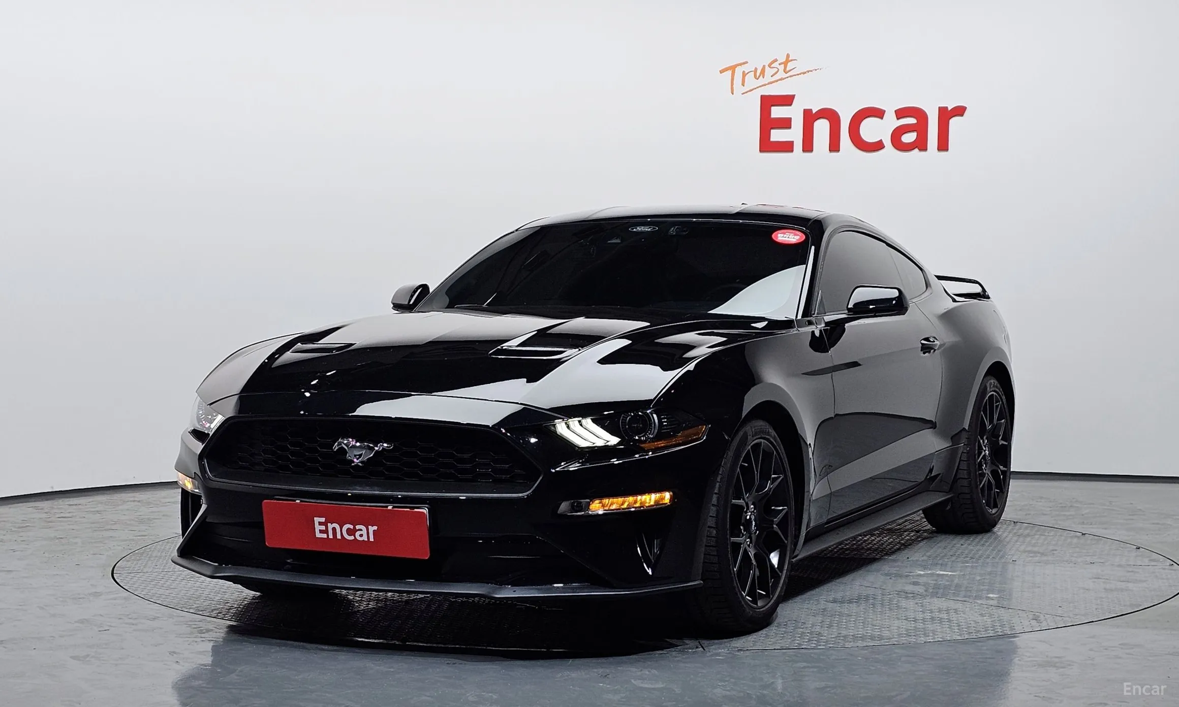 Mustang