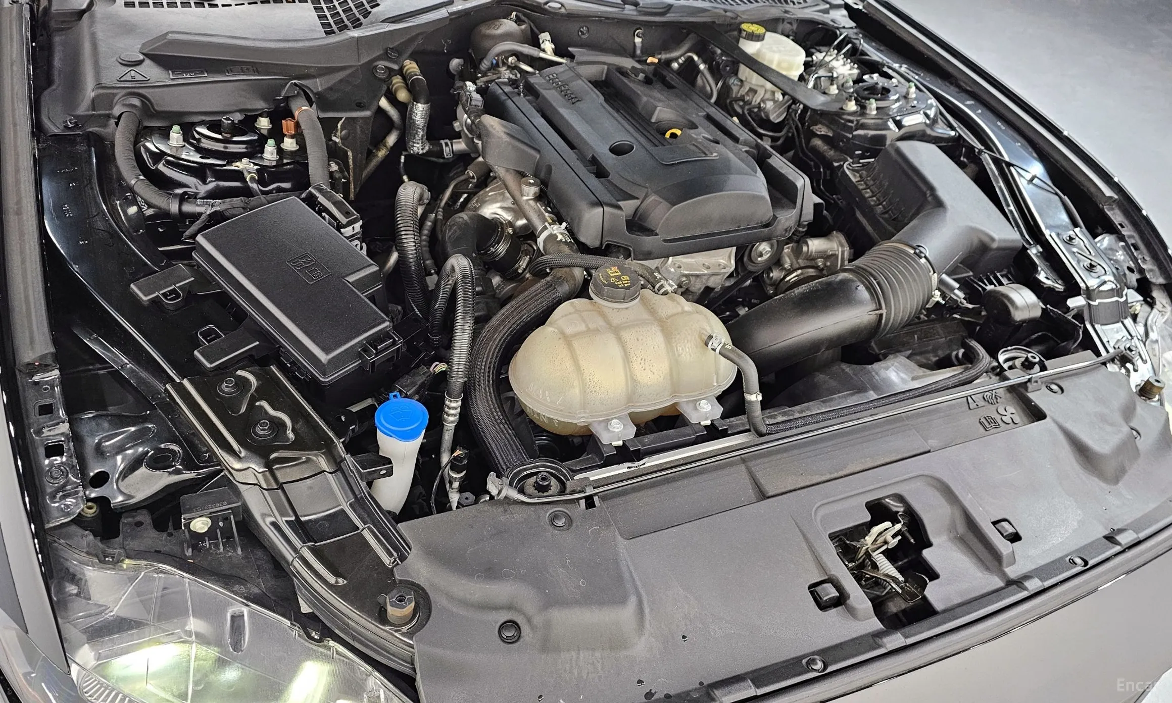 Ford Mustang превью 6