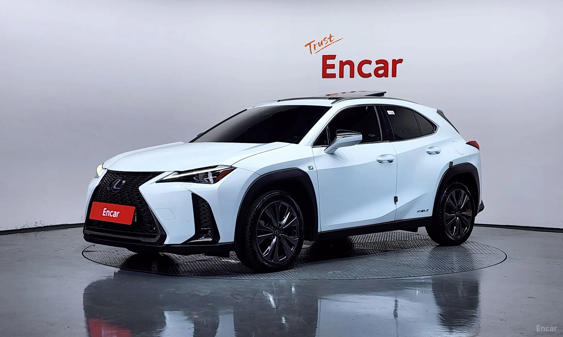 Lexus UX250h