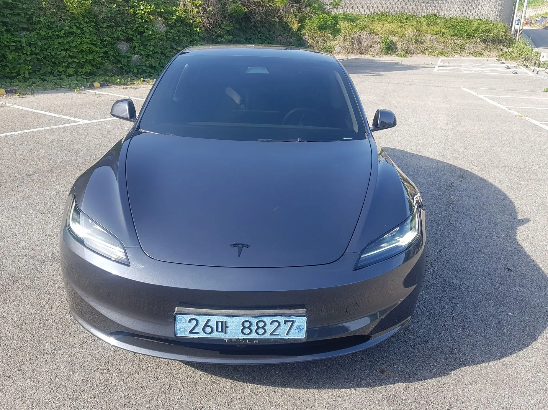 Tesla Model 3 превью 3