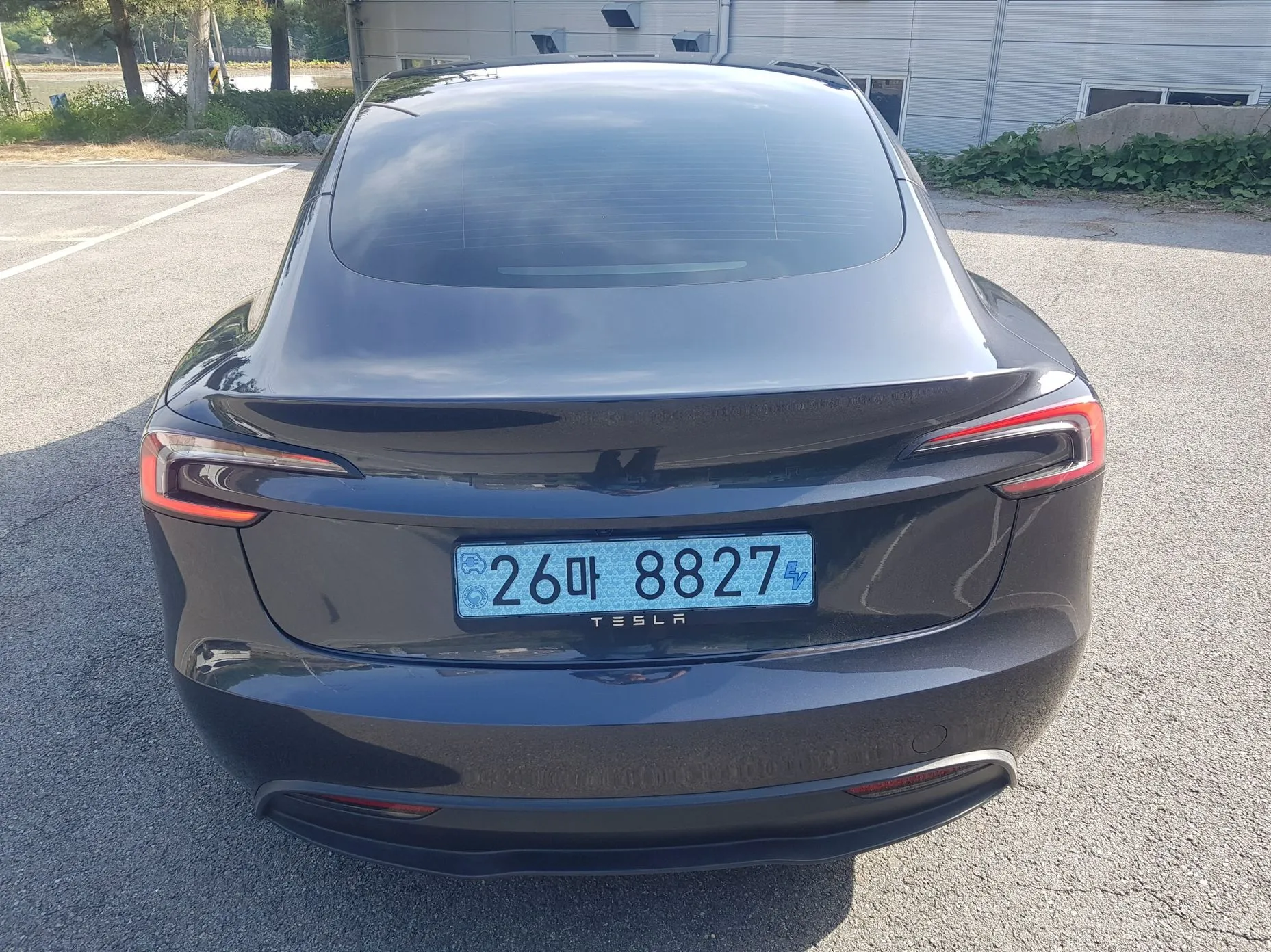 Tesla Model 3 превью 4