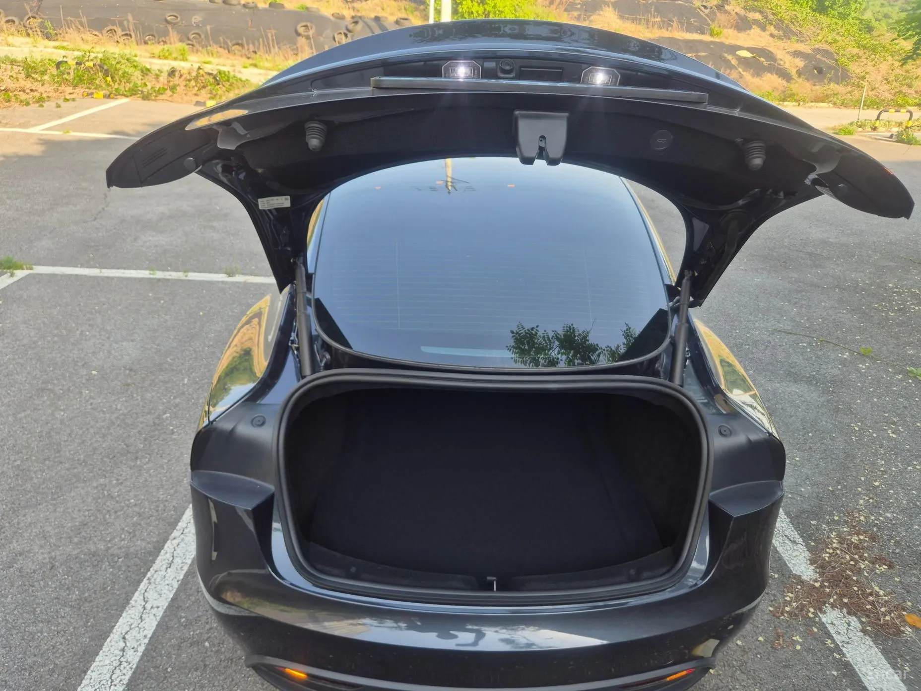 Tesla Model 3 превью 6