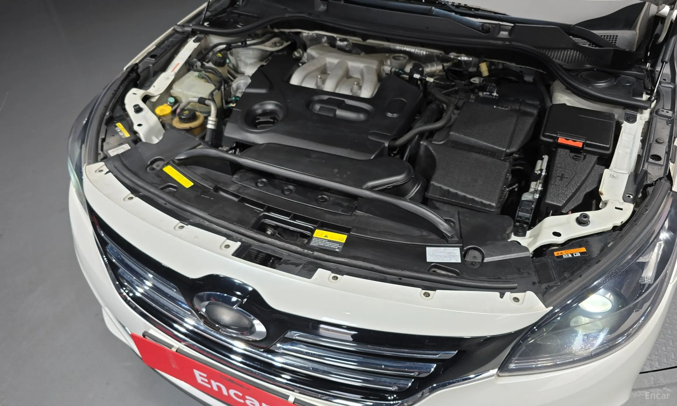 Renault Korea (Samsung) SM7 превью 6