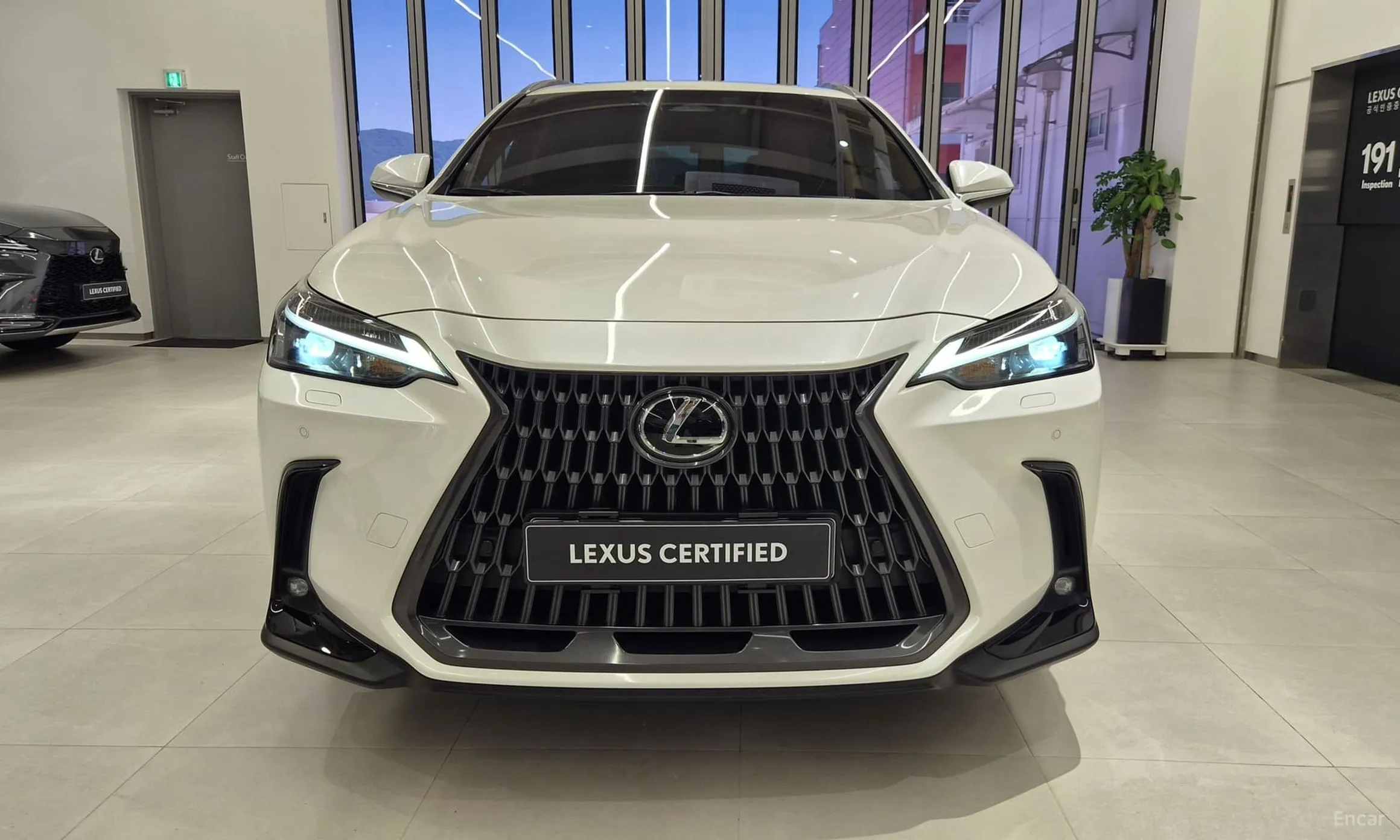 Lexus NX350h Gen 2 превью 3