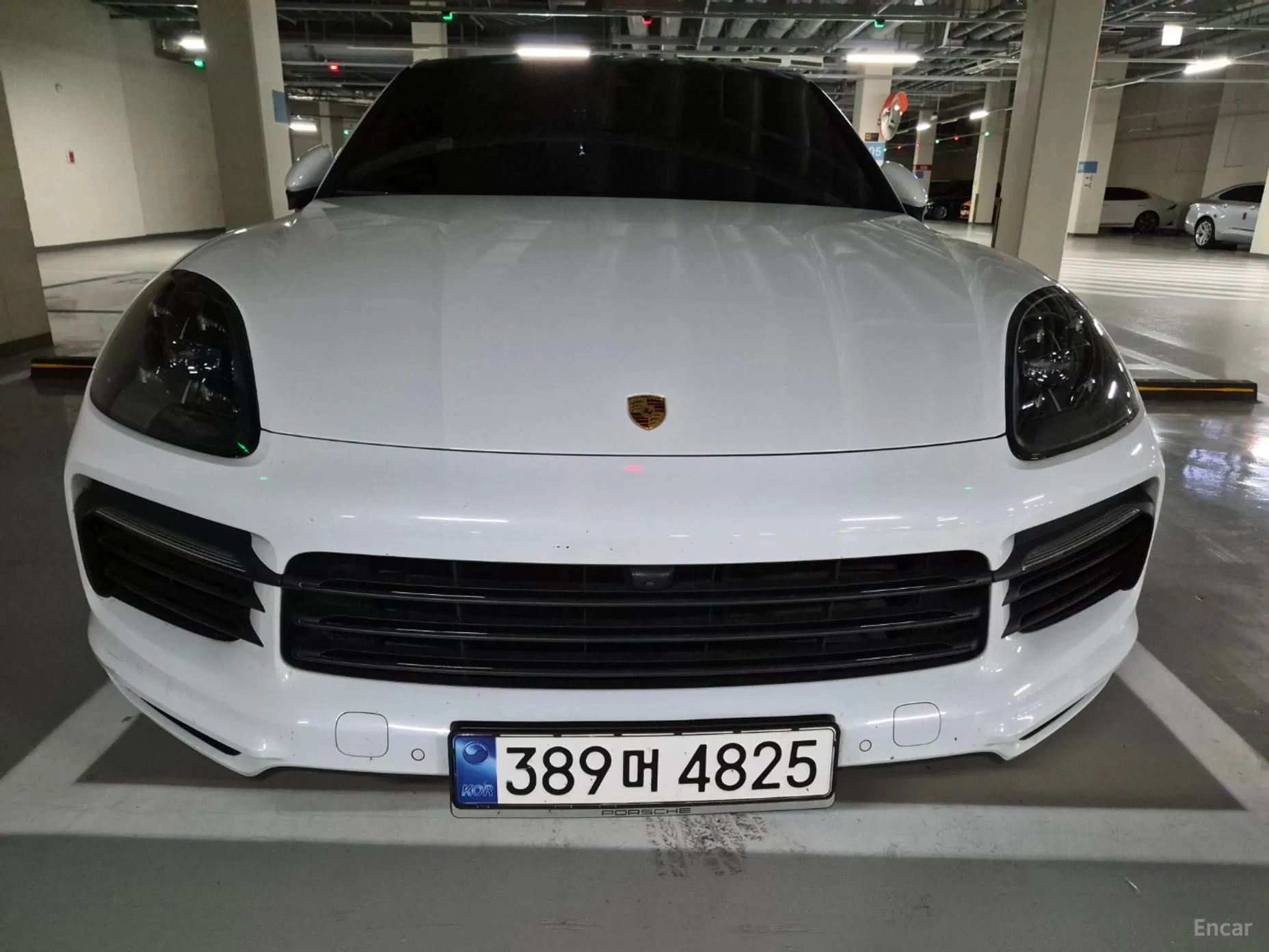Cayenne (PO536)