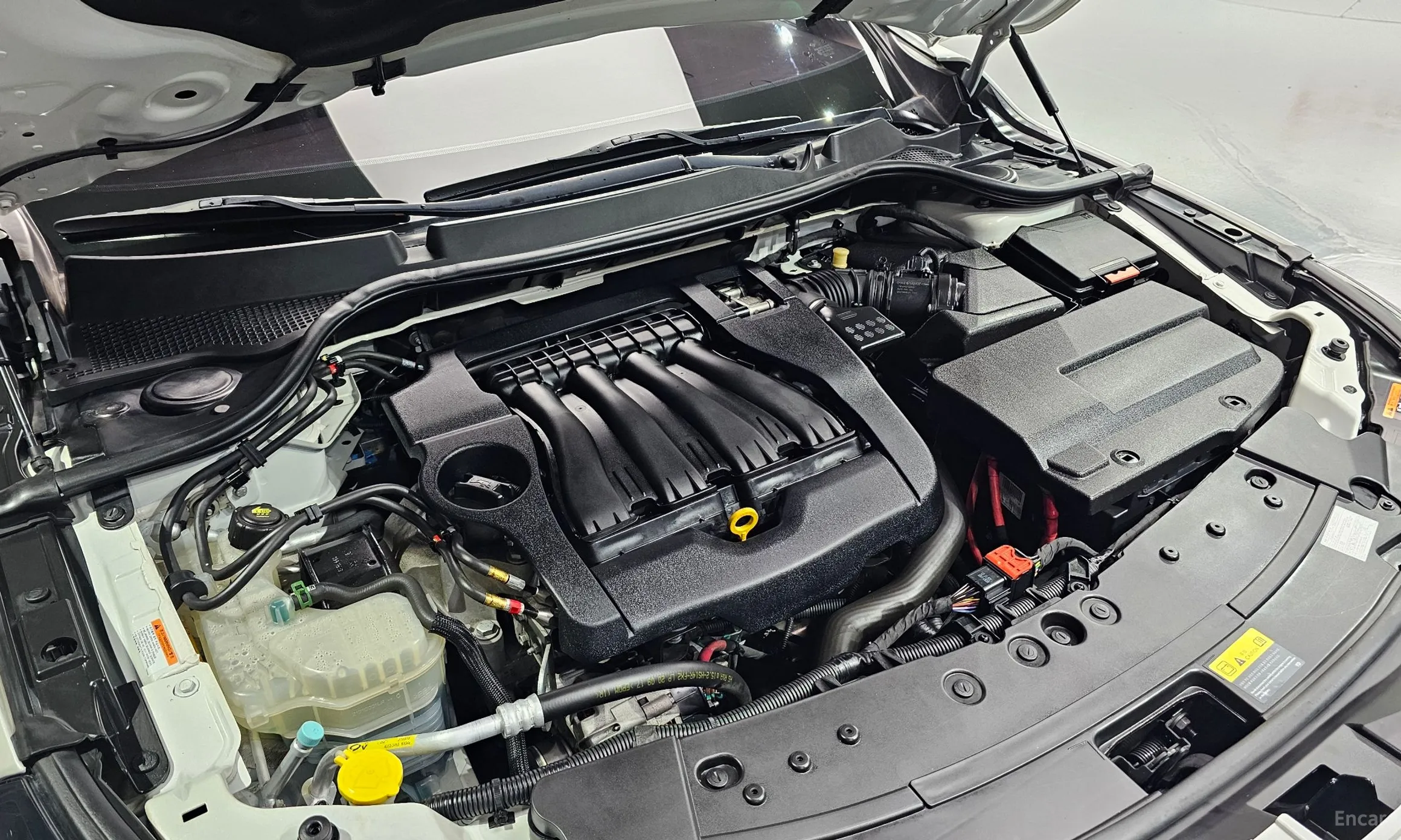 Renault Korea (Samsung) SM7 превью 6