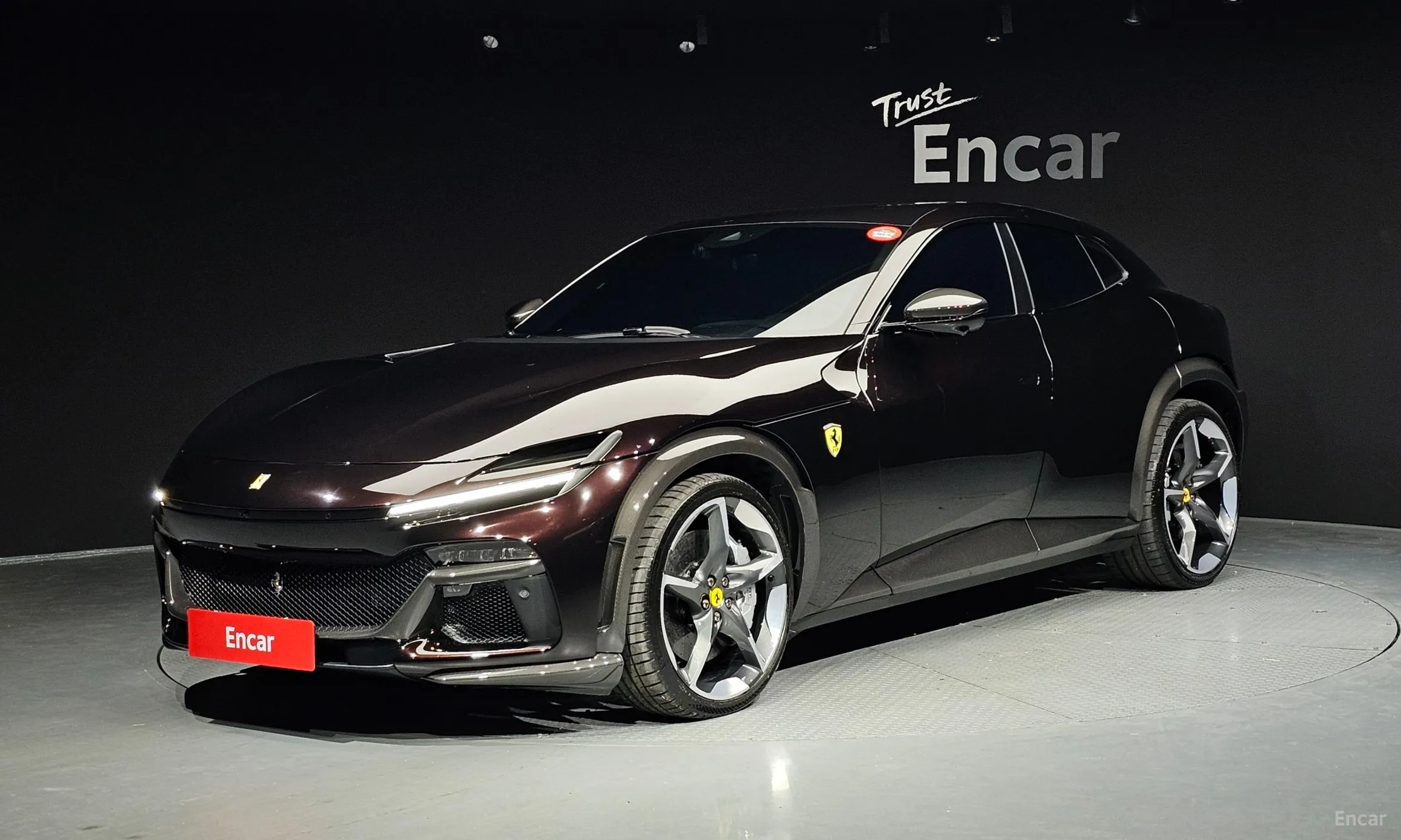 Ferrari Puro Sange