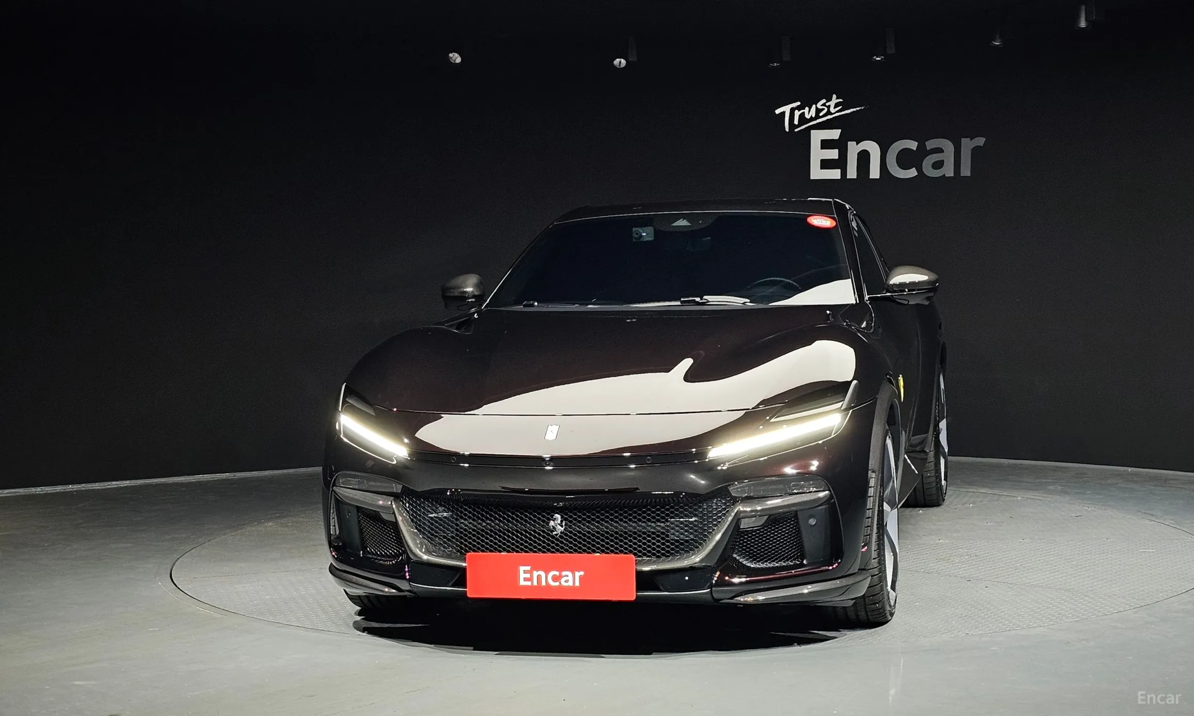 Ferrari Puro Sange превью 3