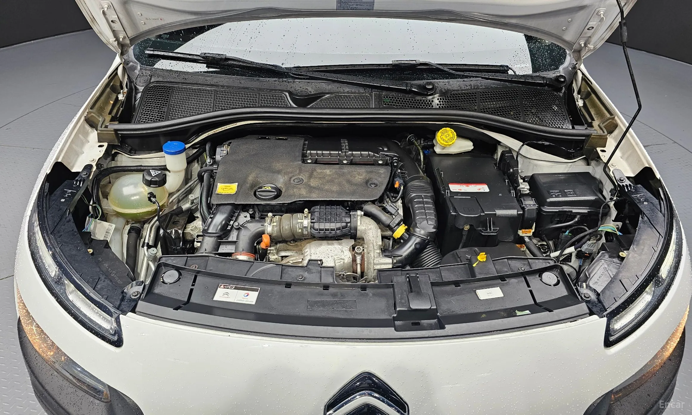 Citroën/DS C4 Cocktooth превью 6