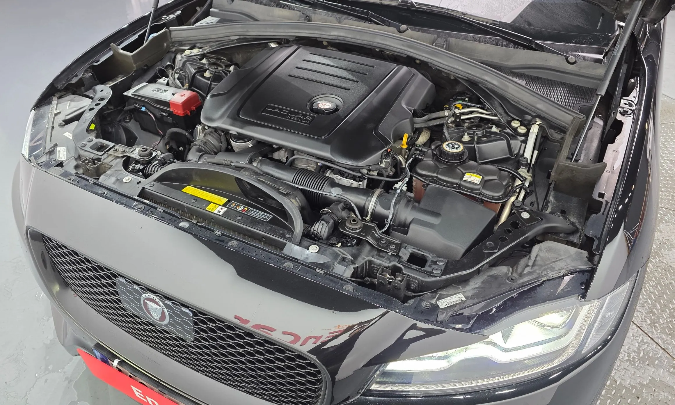 Jaguar F-PACE превью 6