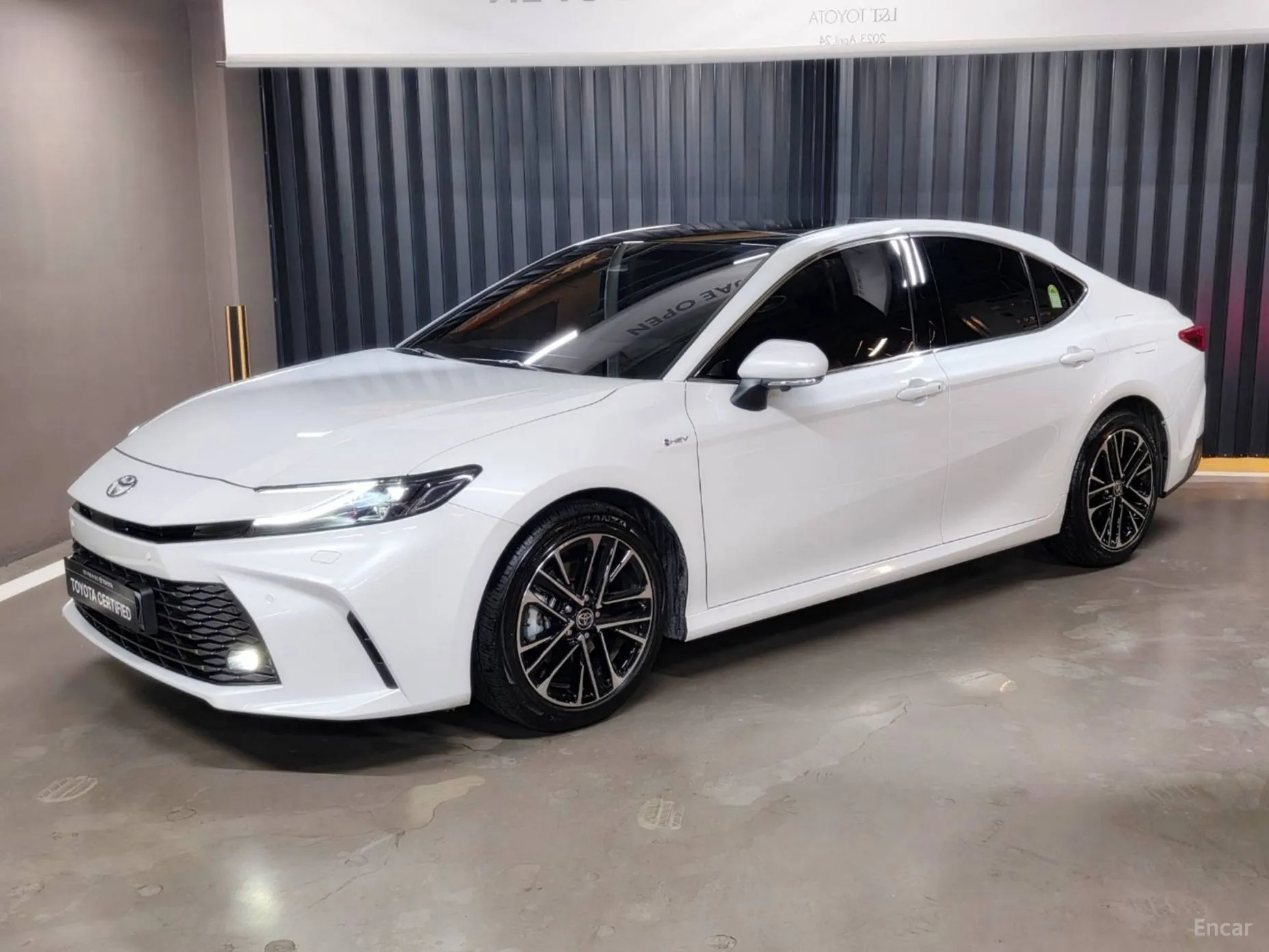Toyota Camry (XV80)