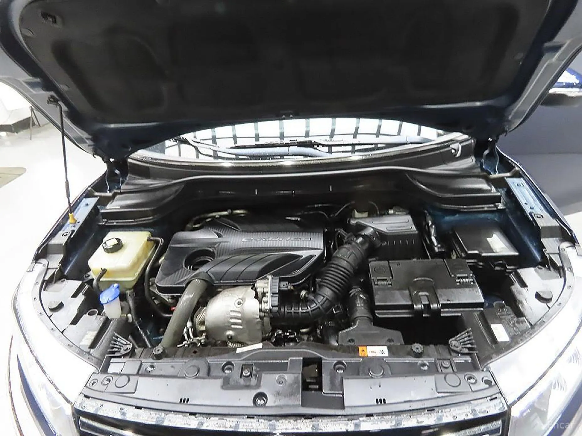 KG Mobility (SsangYong) Berry New Tivoli превью 7