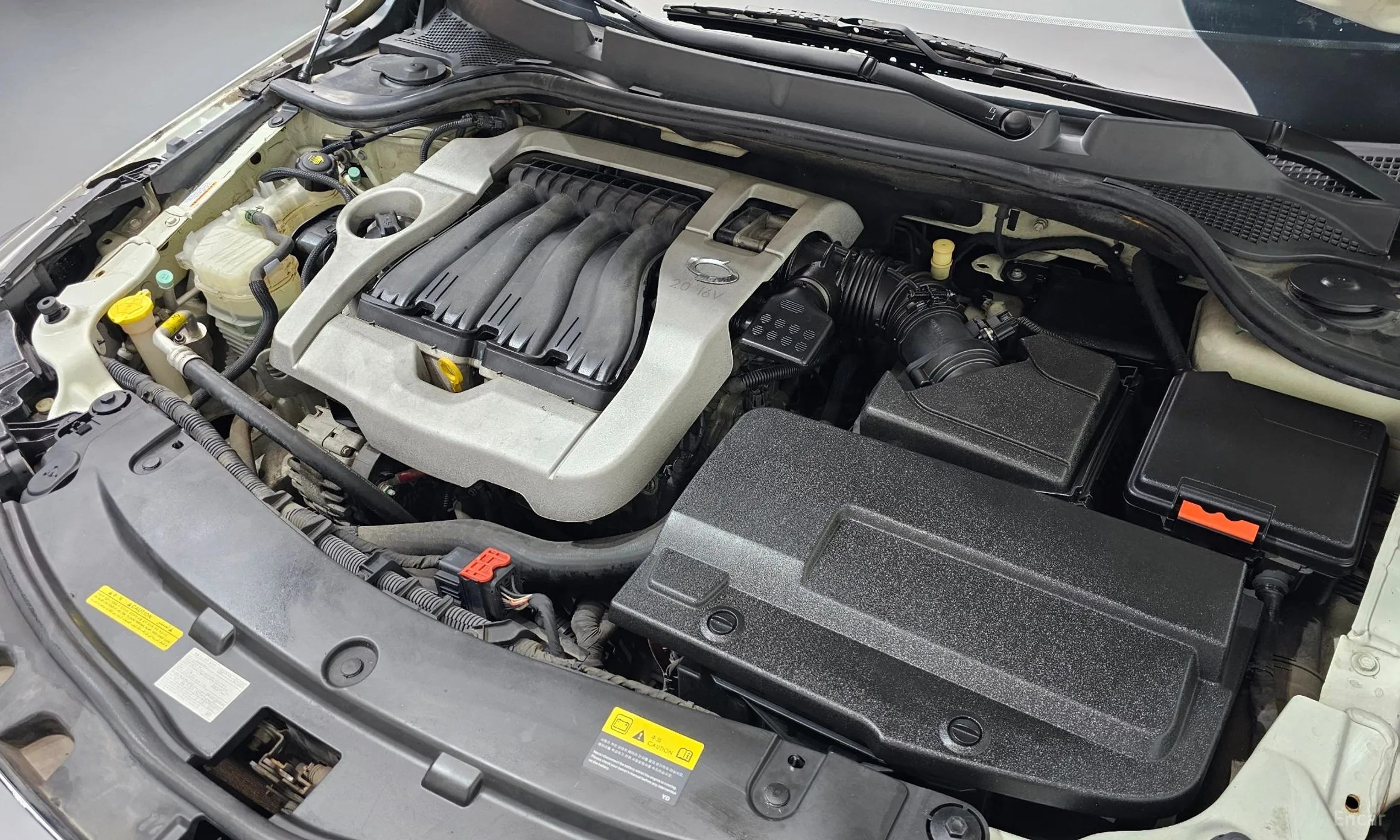 Renault Korea (Samsung) SM5 превью 6