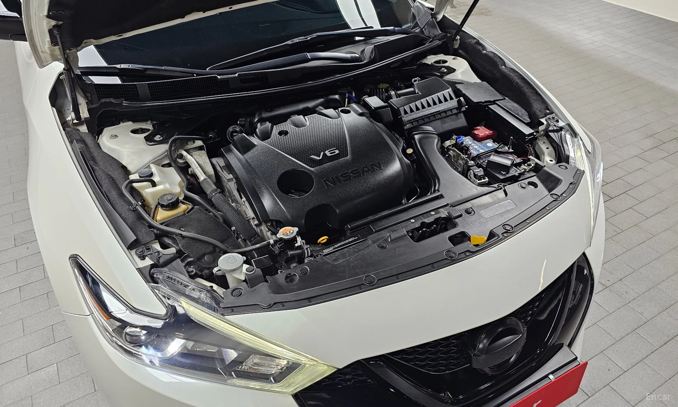 Nissan Maxima (A36) превью 6