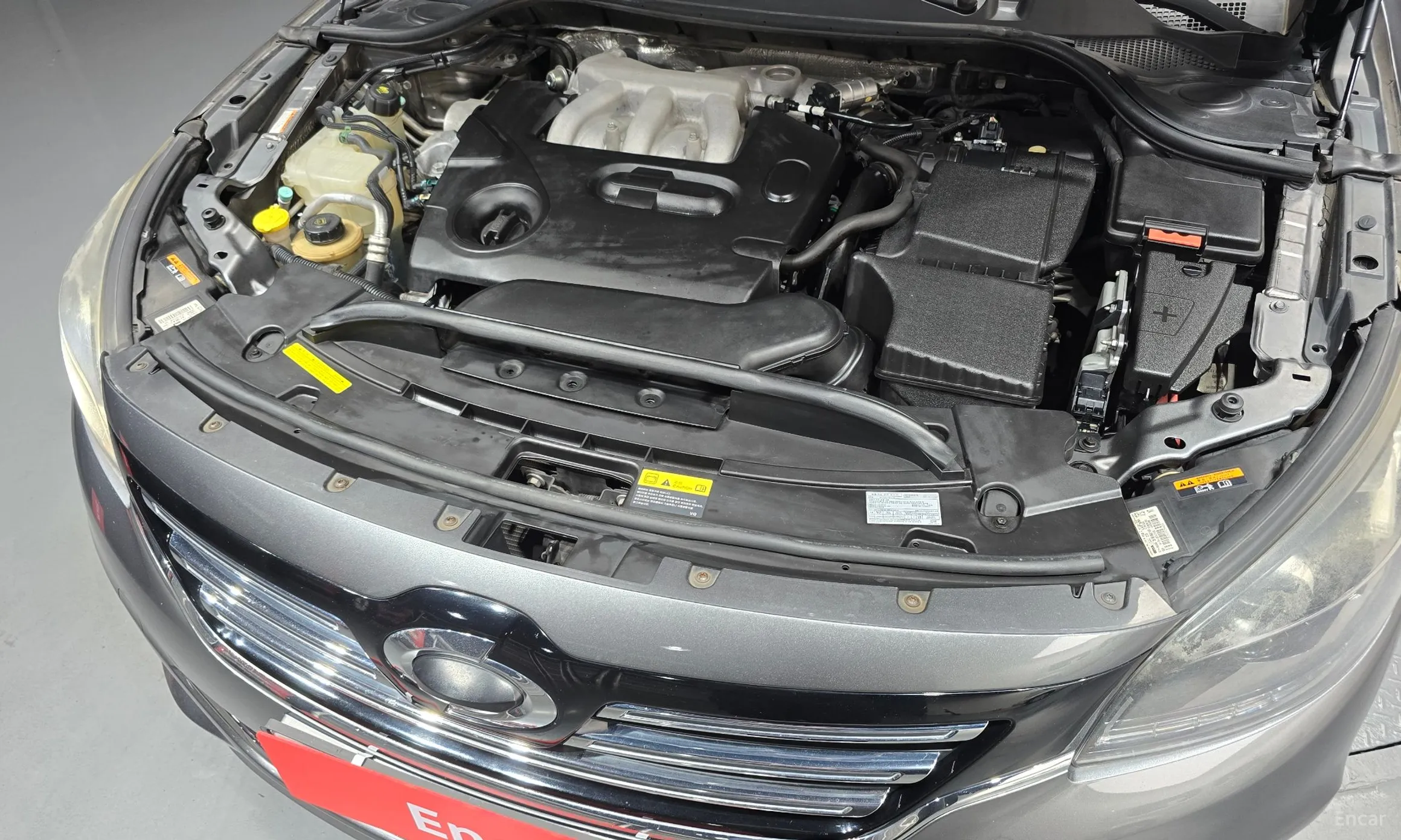 Renault Korea (Samsung) SM7 превью 6