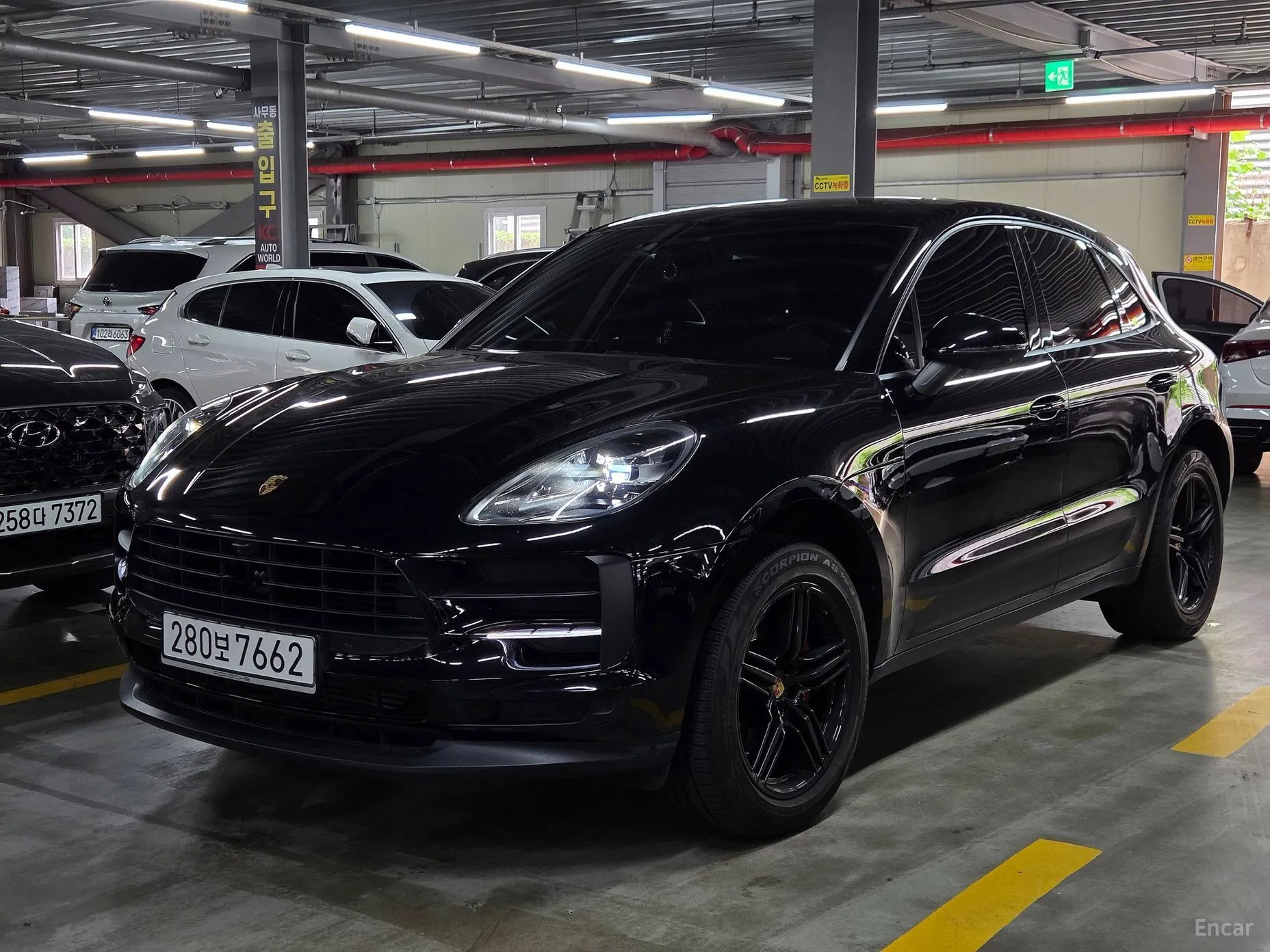 Macan