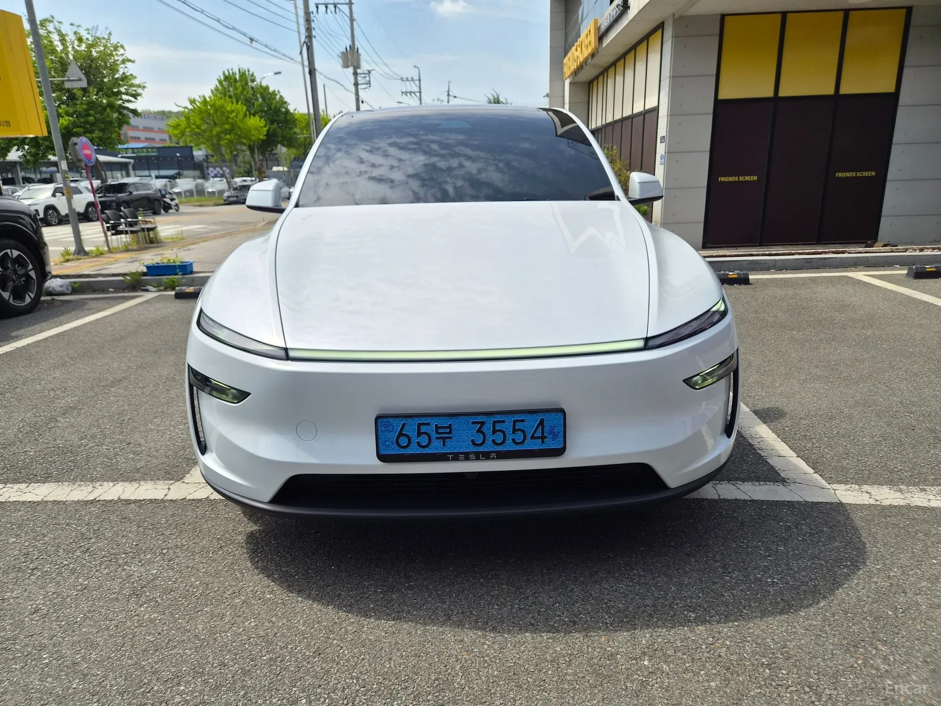 Model Y