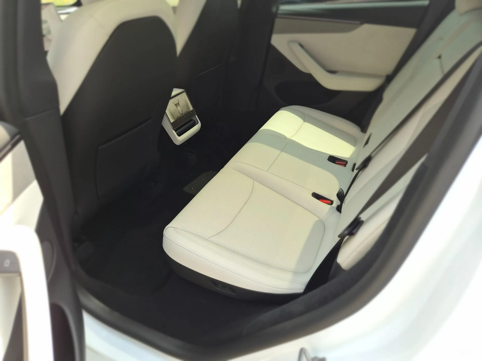 Tesla Model Y превью 14