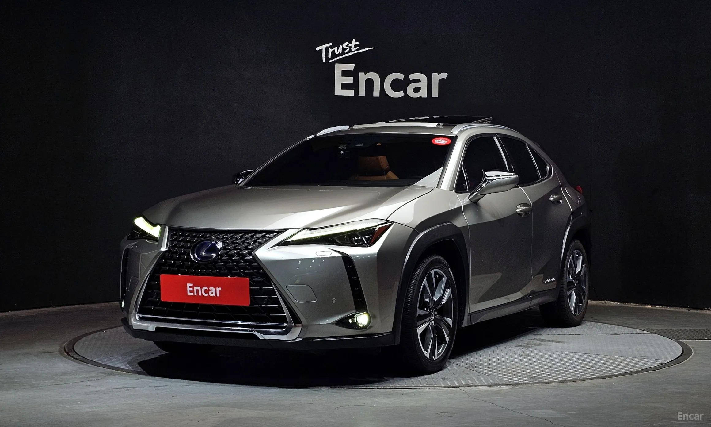 Lexus UX250h