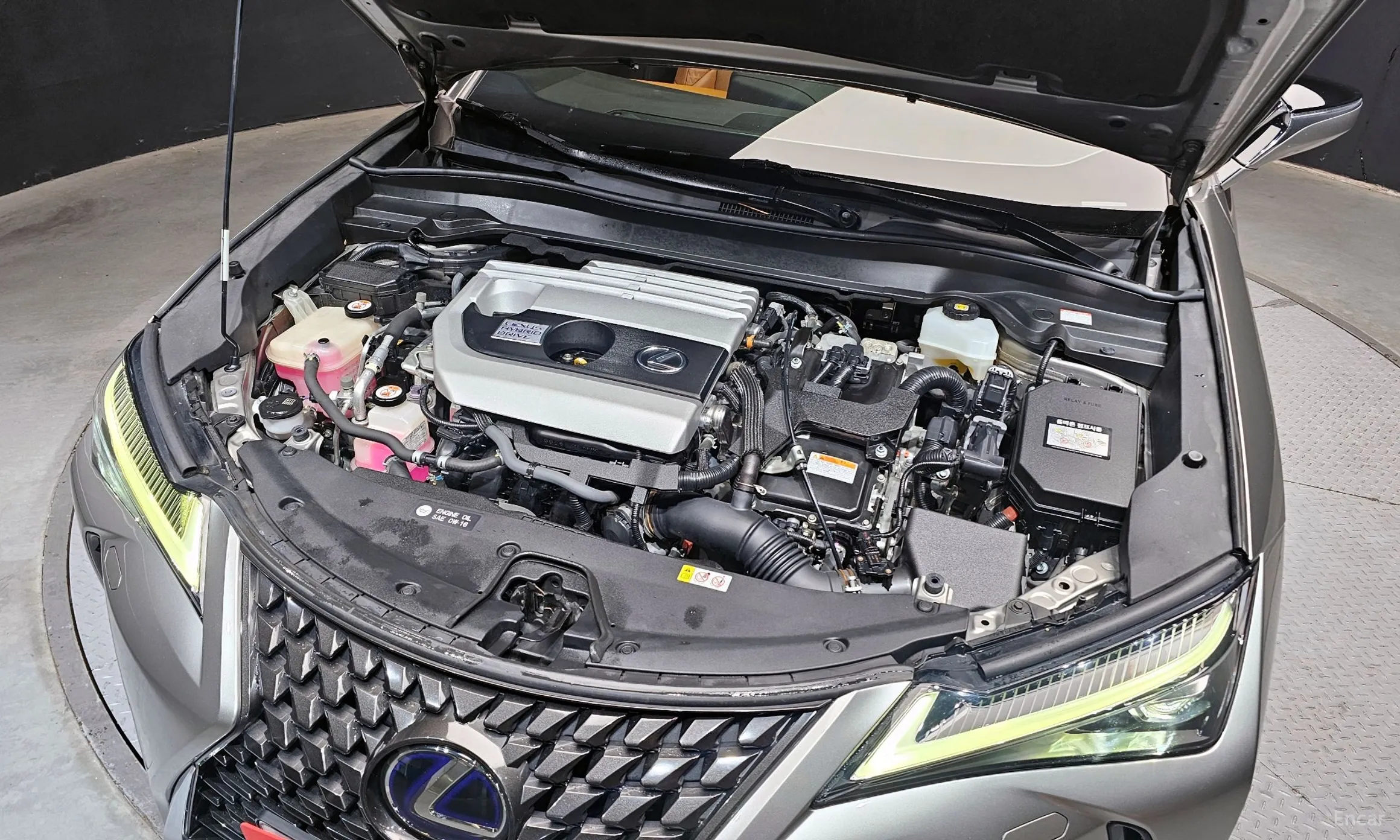 Lexus UX250h превью 6