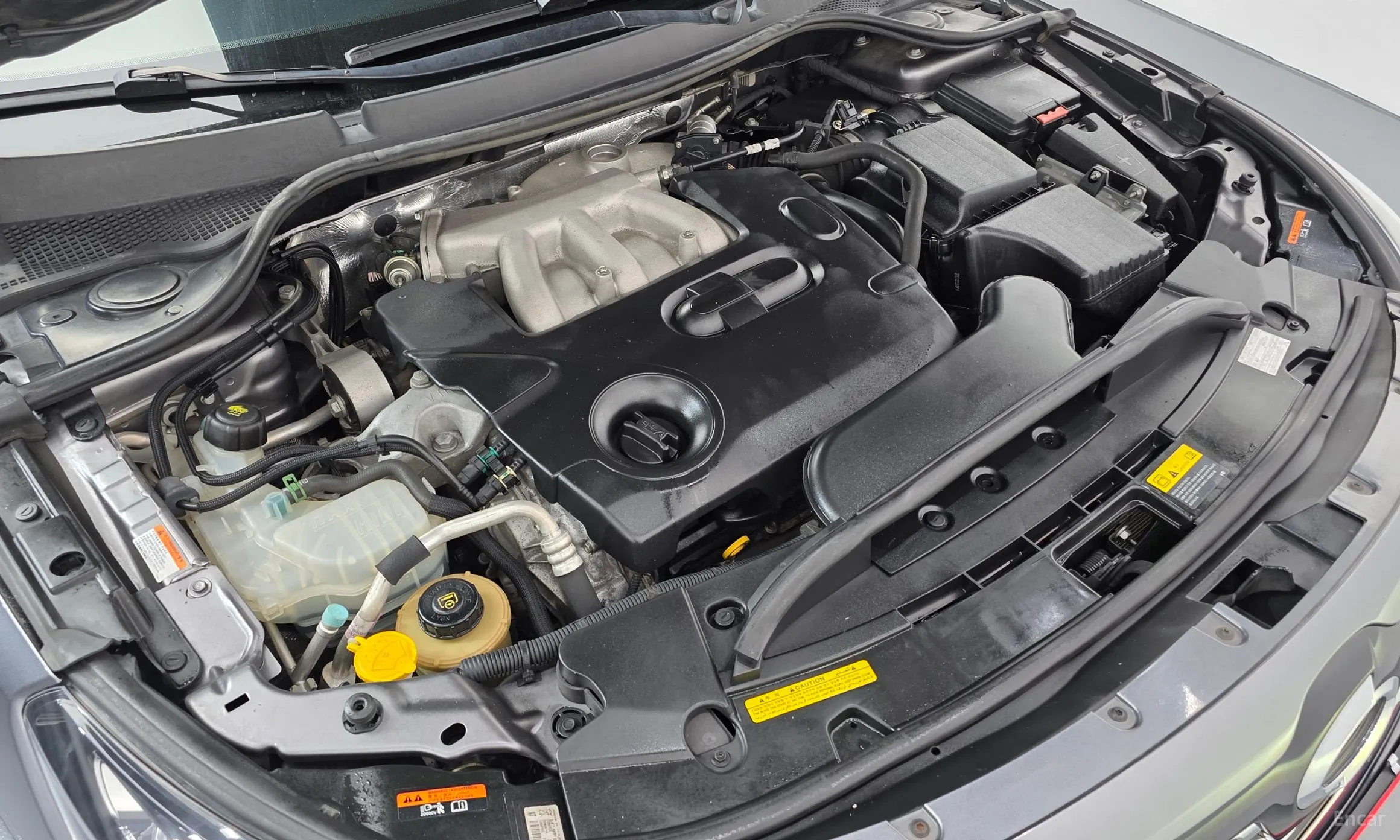 Renault Korea (Samsung) SM7 превью 6