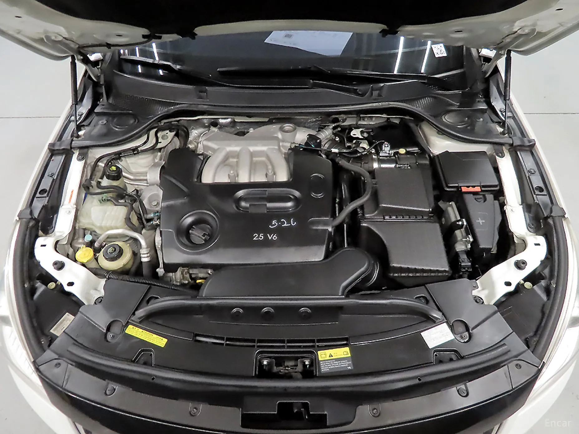 Renault Korea (Samsung) SM7 превью 6