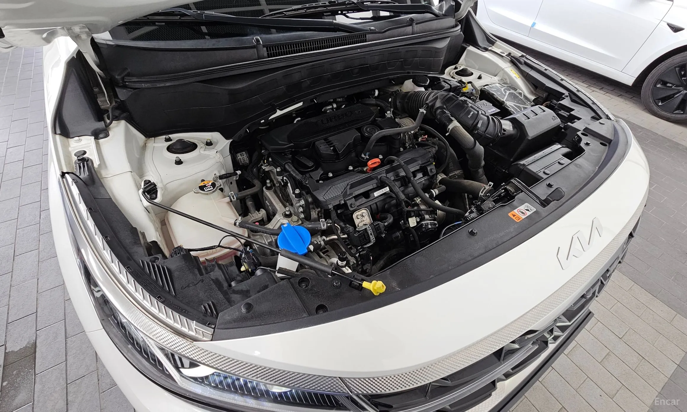 Kia Seltos превью 6