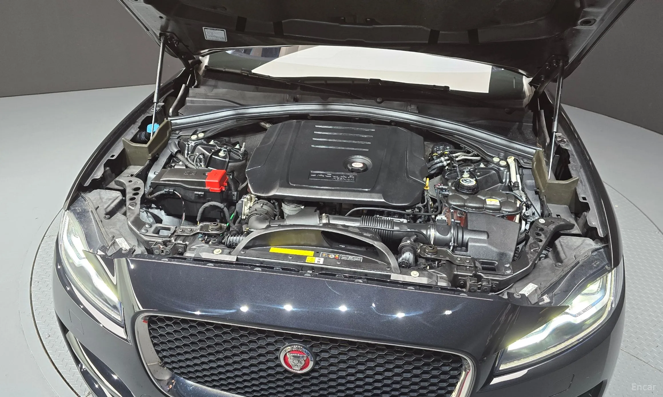 Jaguar F-PACE превью 6