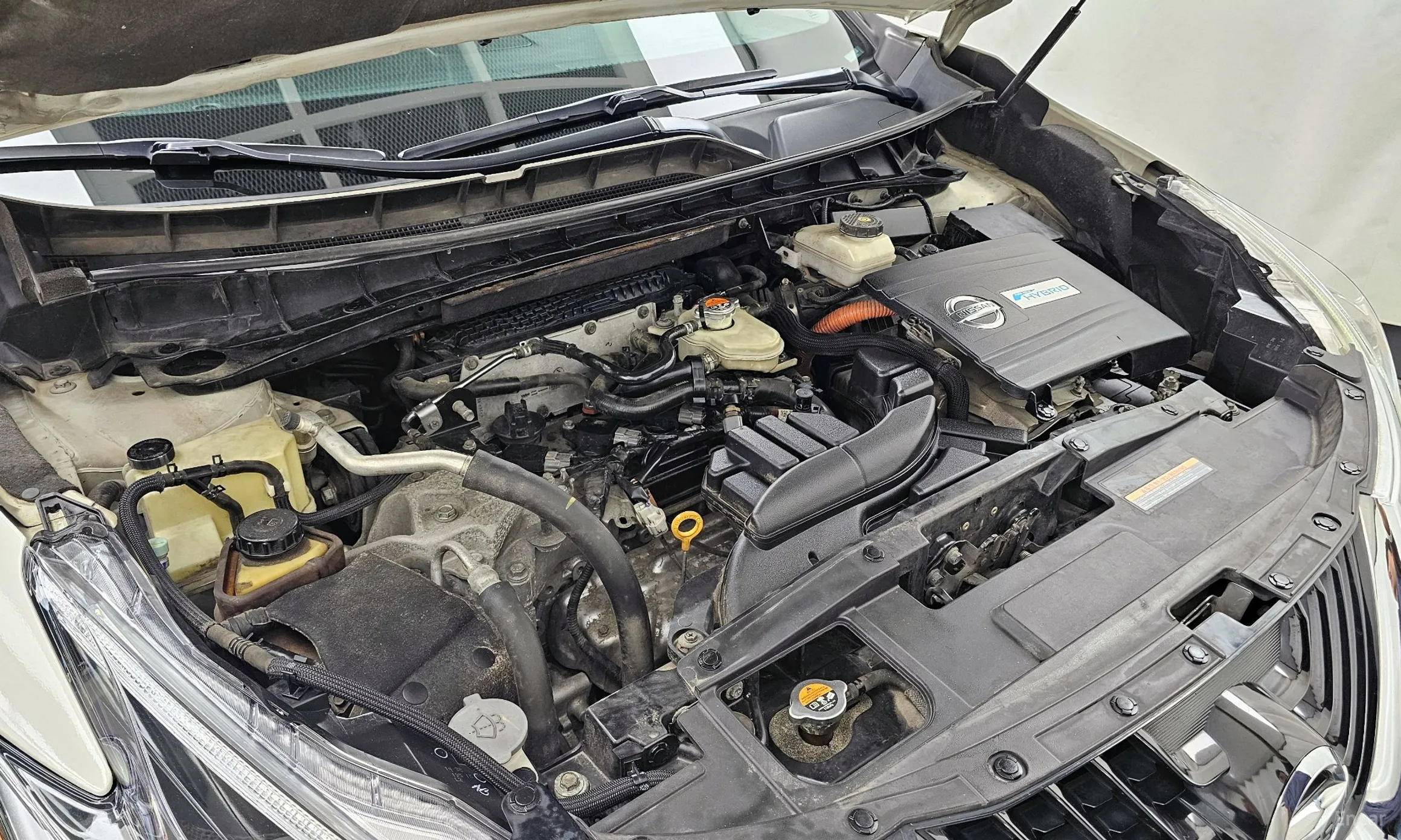 Nissan Murano (Z52) превью 6