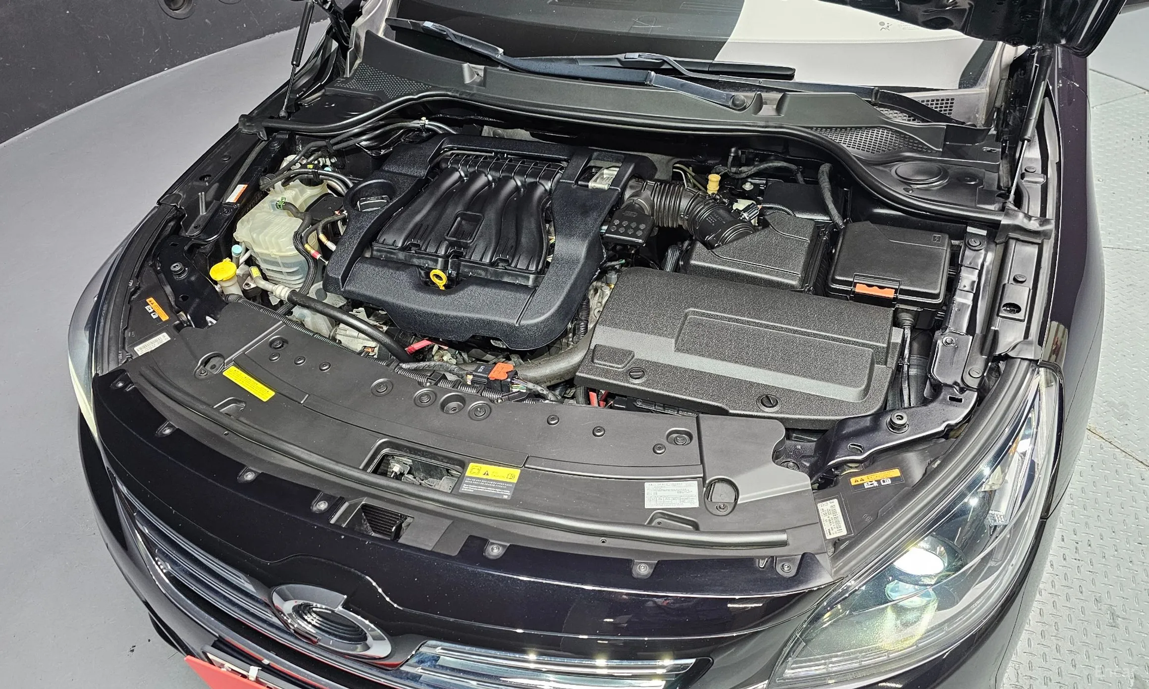 Renault Korea (Samsung) SM7 превью 6