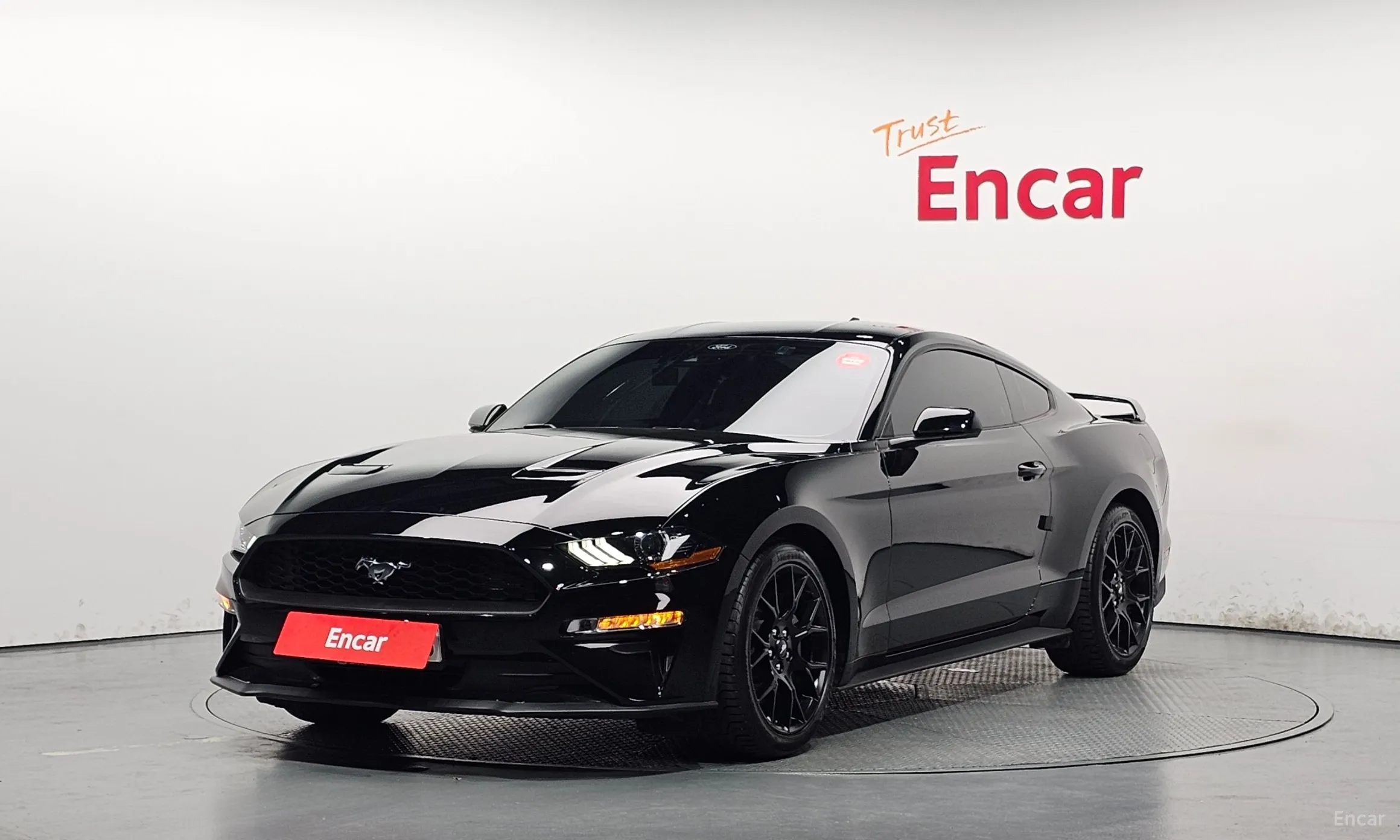 Mustang