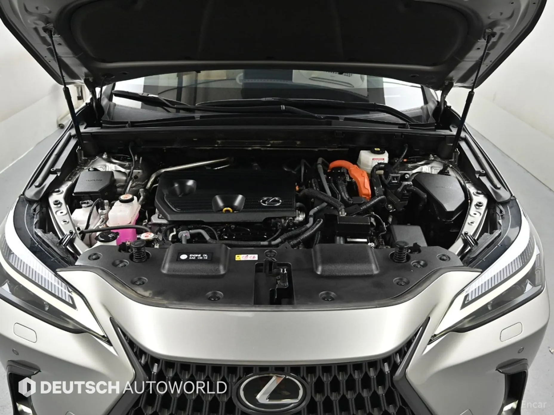Lexus NX350h Gen 2 превью 6