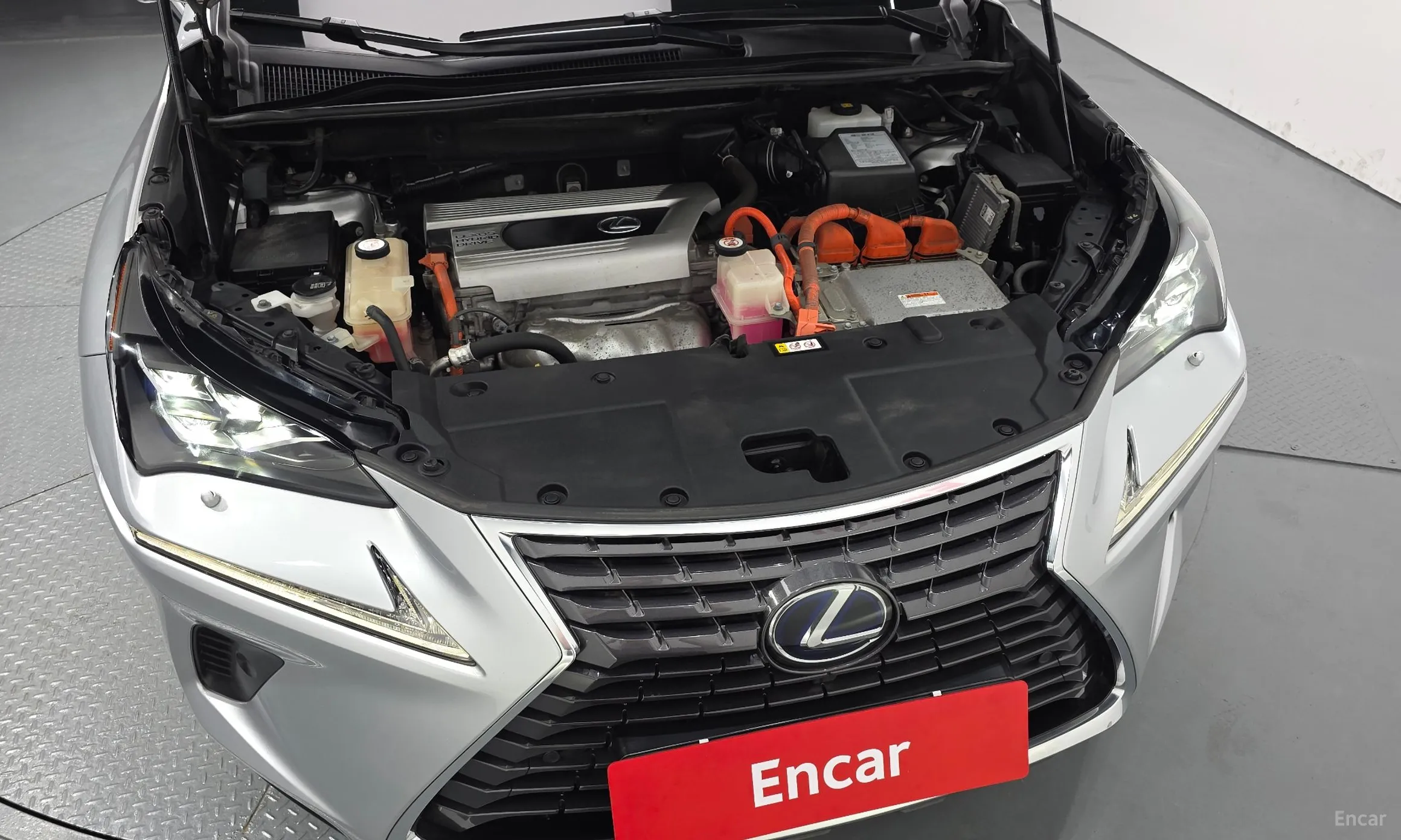 Lexus NX300h превью 6