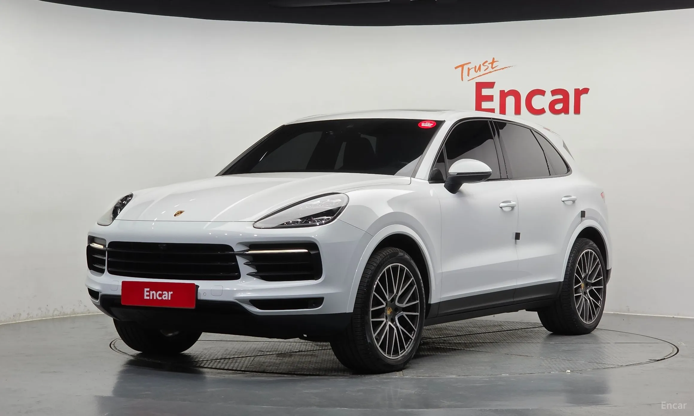 Cayenne (PO536)