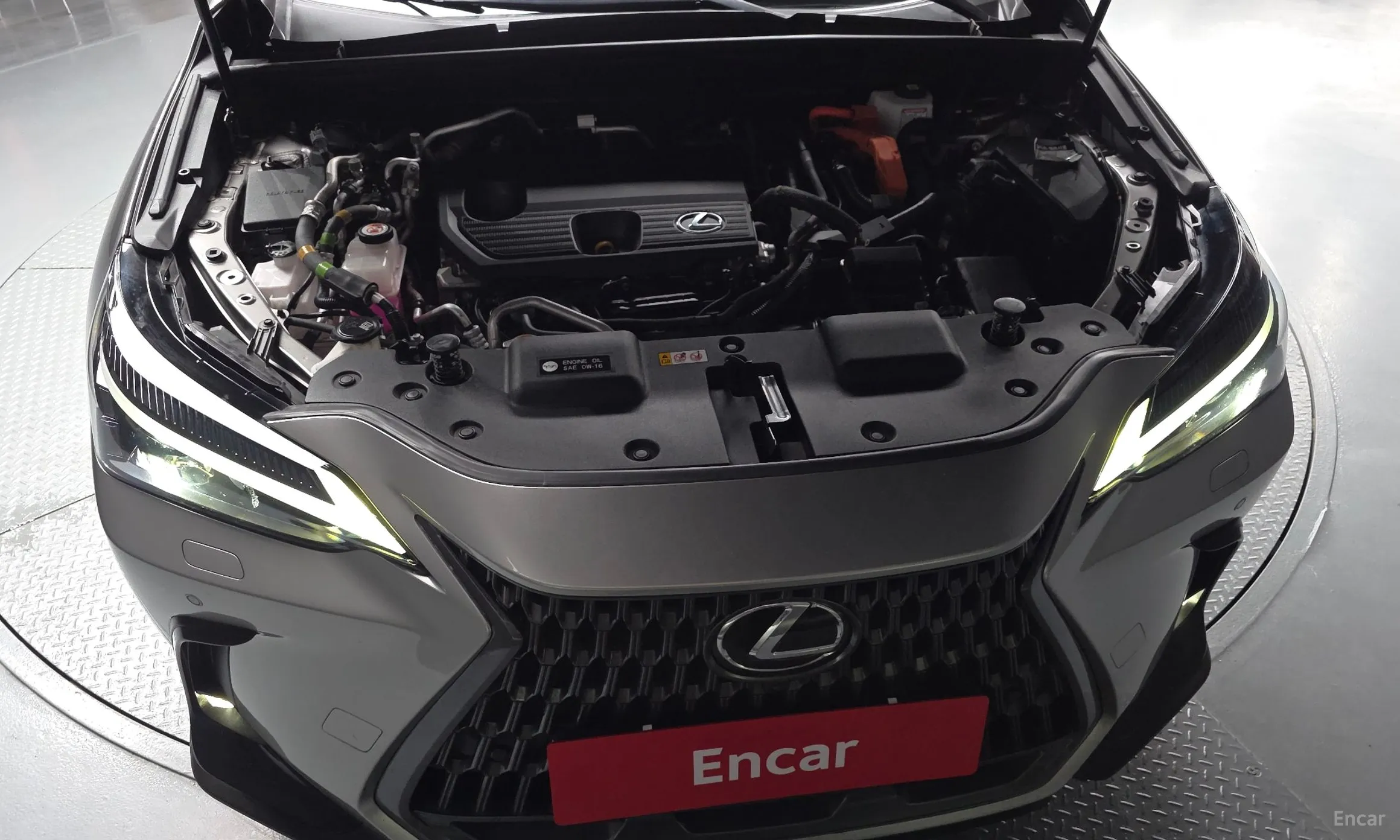 Lexus NX450h + 2nd Gen превью 6