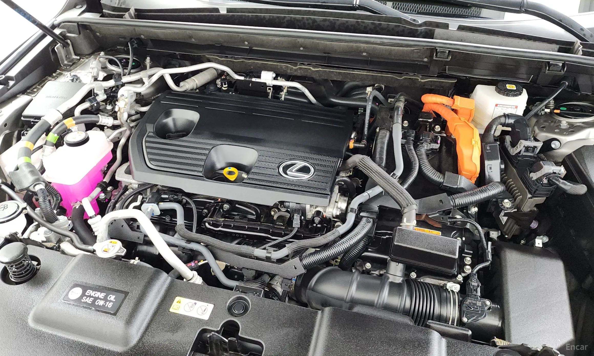 Lexus NX450h + 2nd Gen превью 6