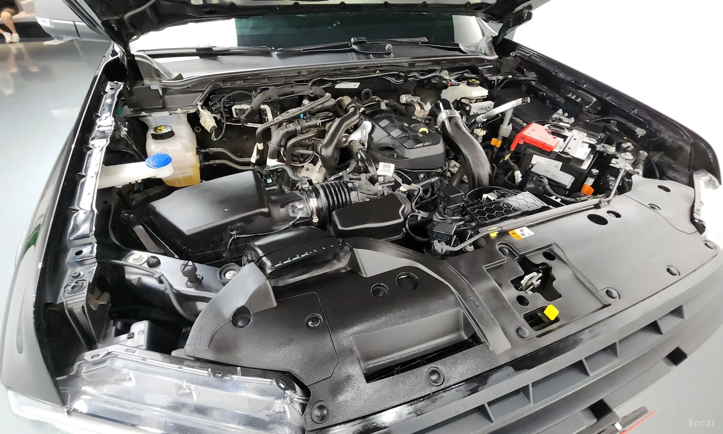 Ford Ranger 4th Generation превью 6