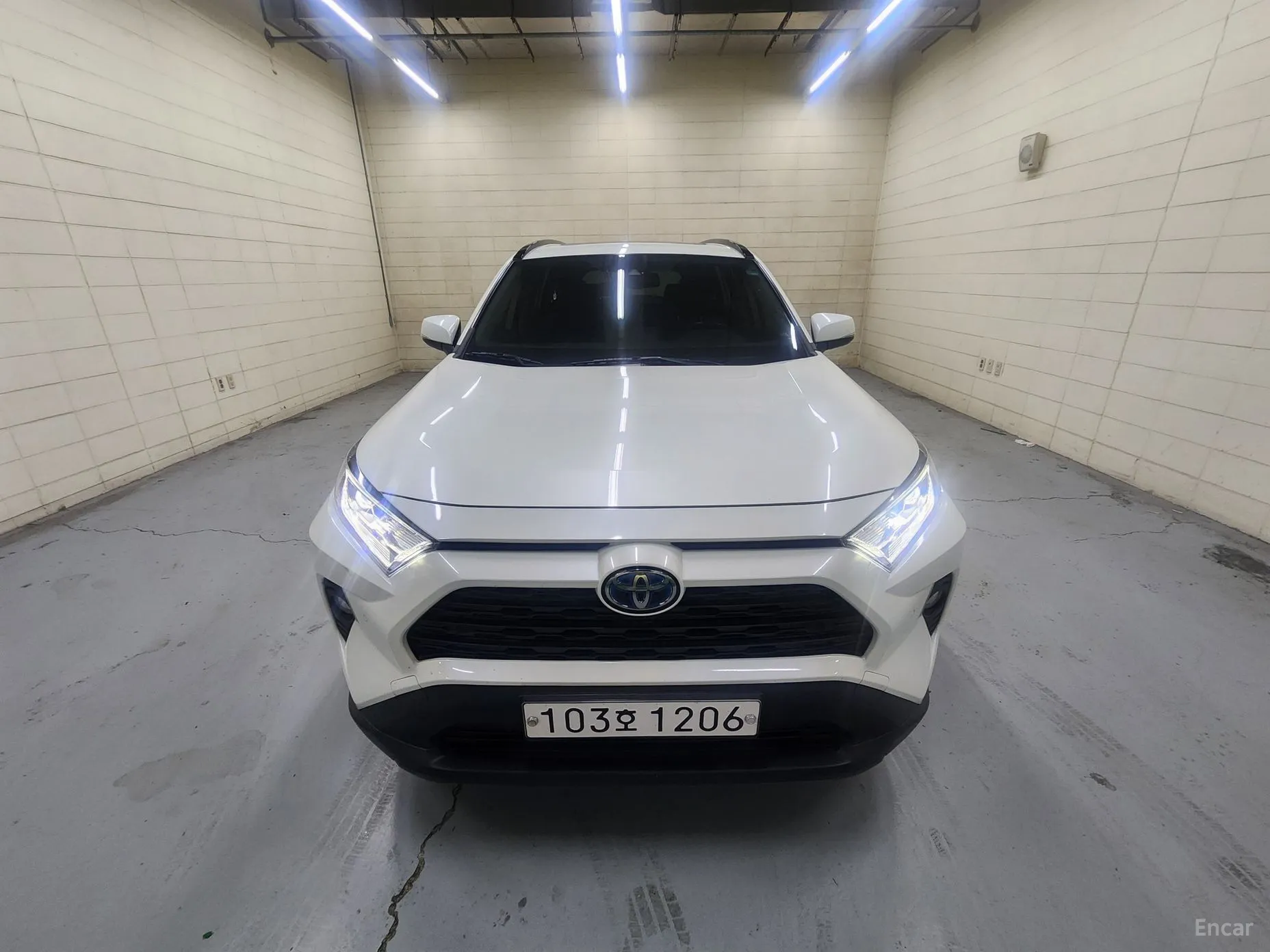 Toyota RAV4 5th Generation