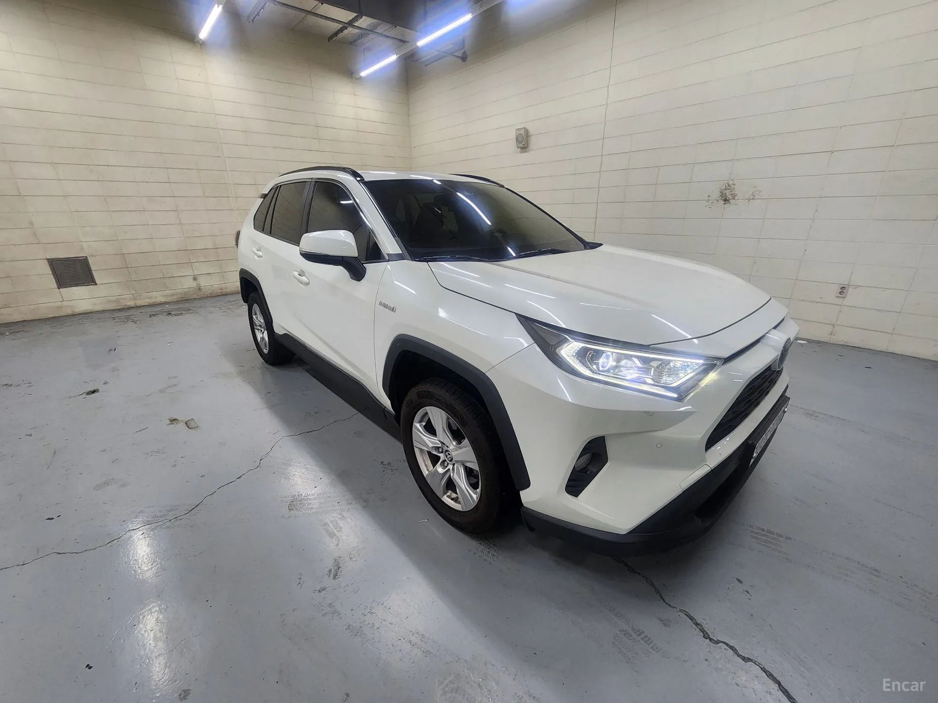 Toyota RAV4 5th Generation