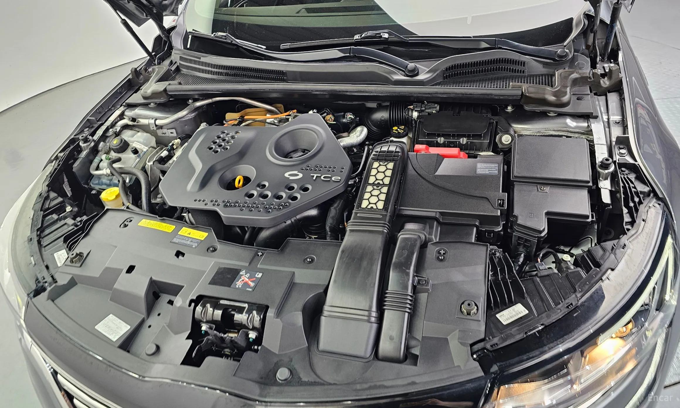 Renault Korea (Samsung) SM6 превью 6