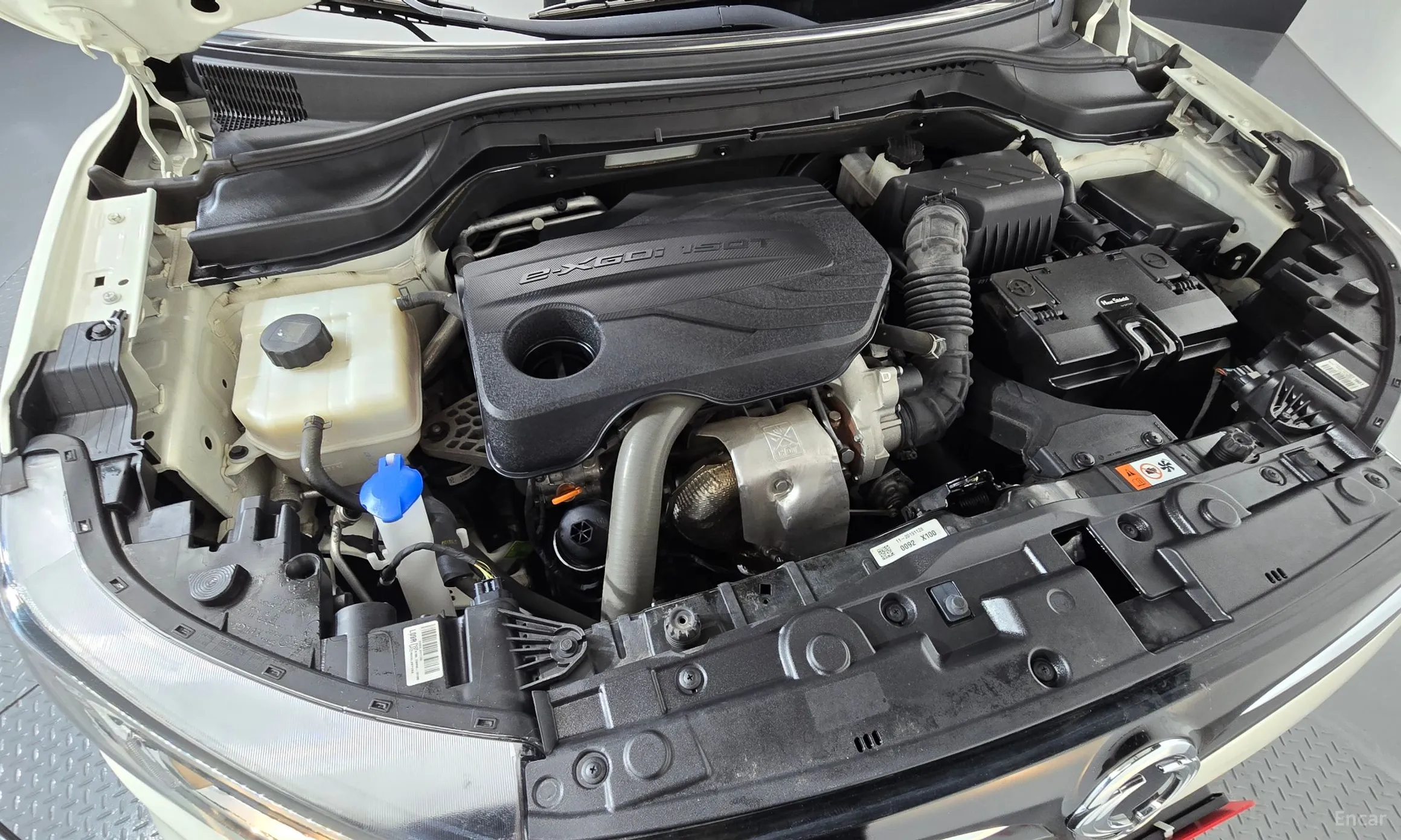 KG Mobility (SsangYong) Berry New Tivoli превью 6